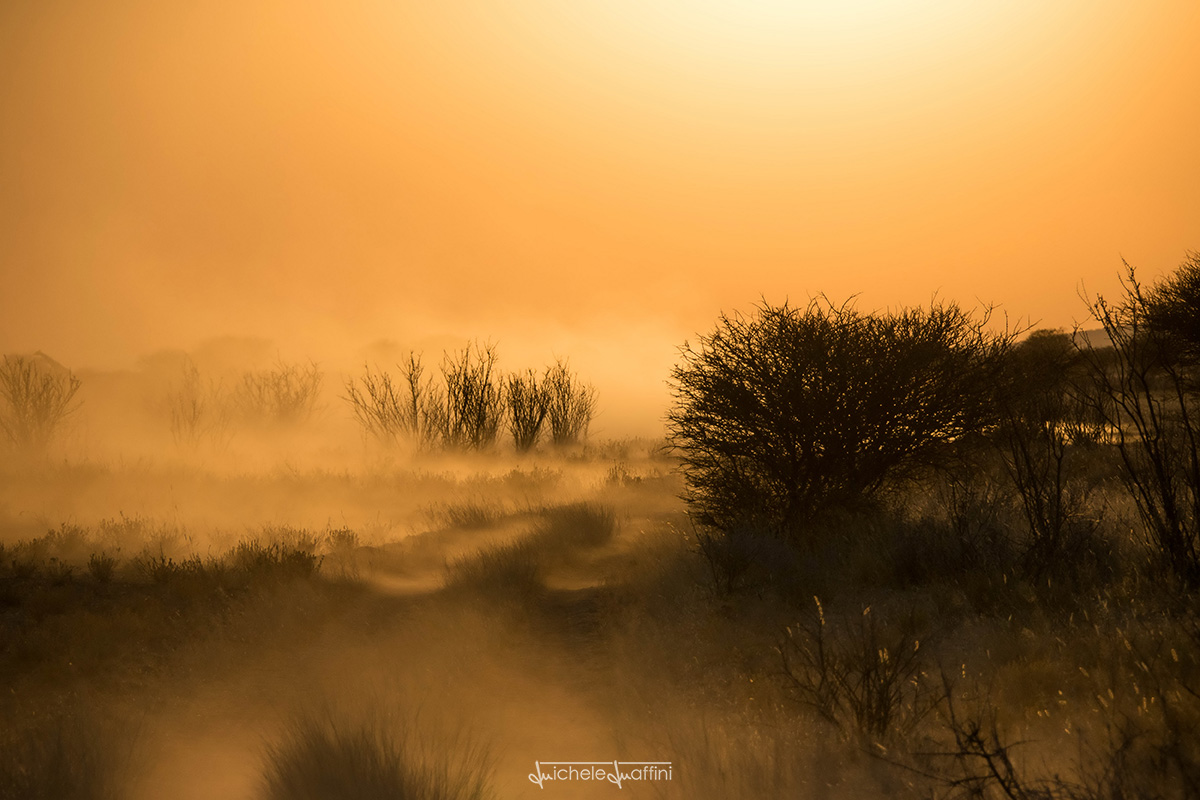 Namibia - Sunset of fire