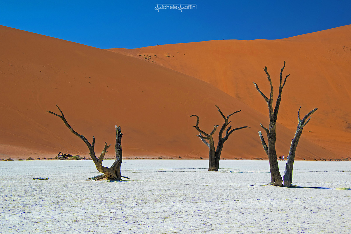 Namibia - Dead Vlei