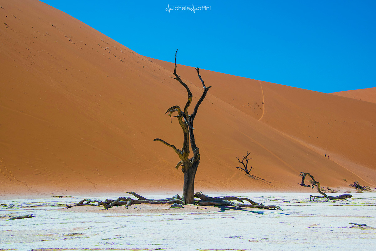 Namibia - Dead Vlei