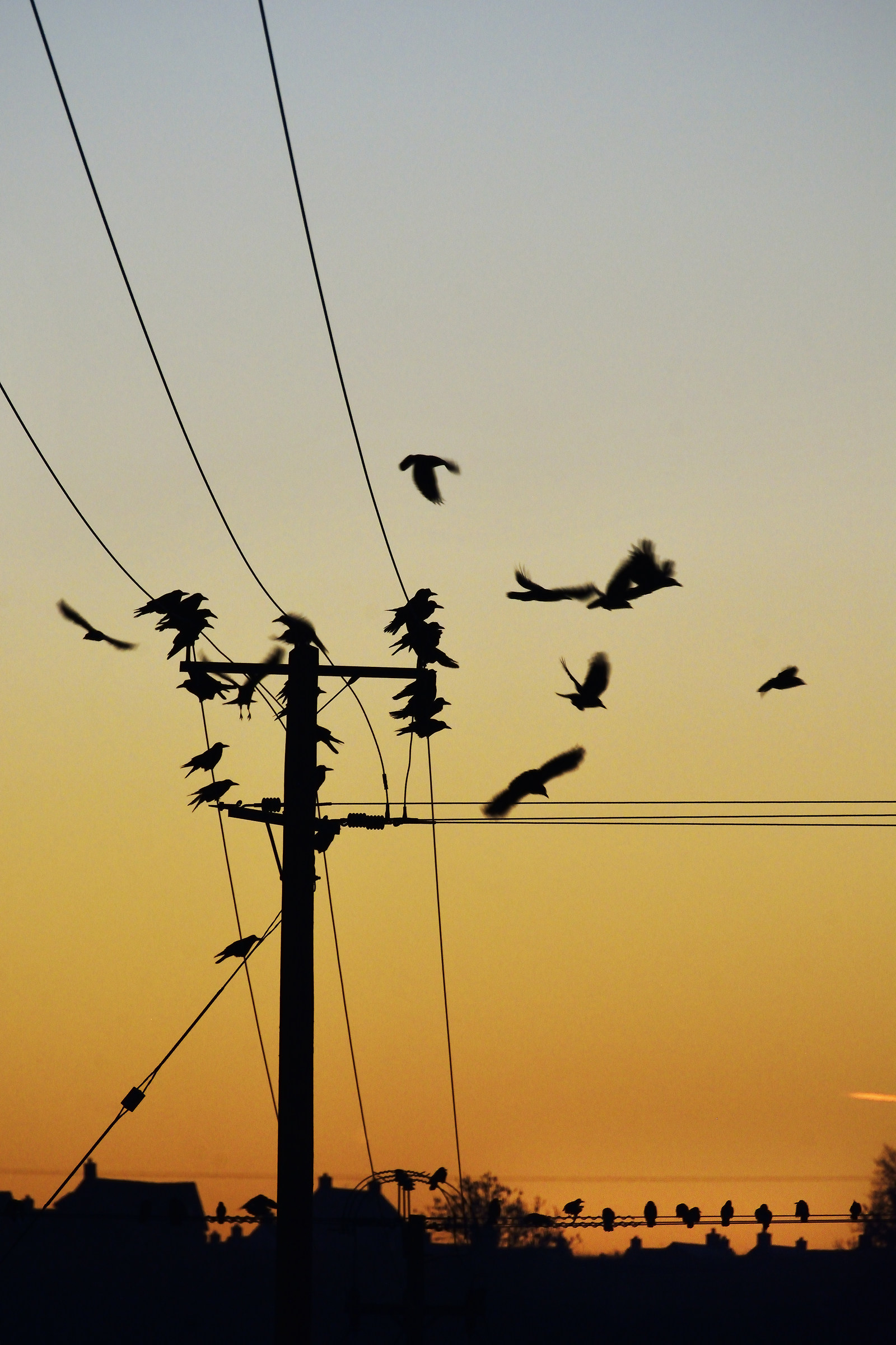 Sui fili, Prima dell'alba