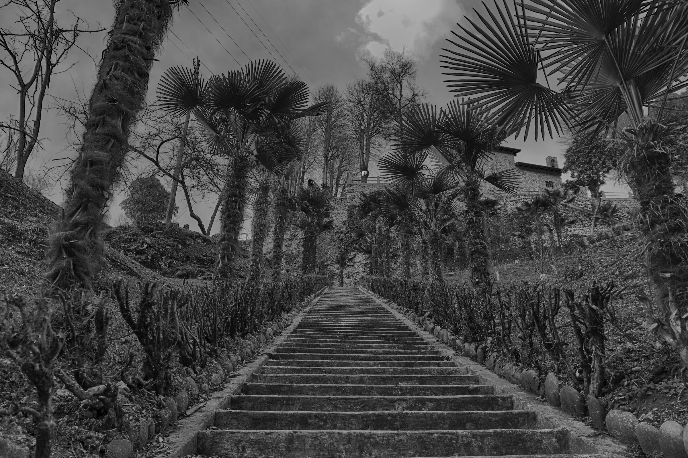 scala verso il cielo