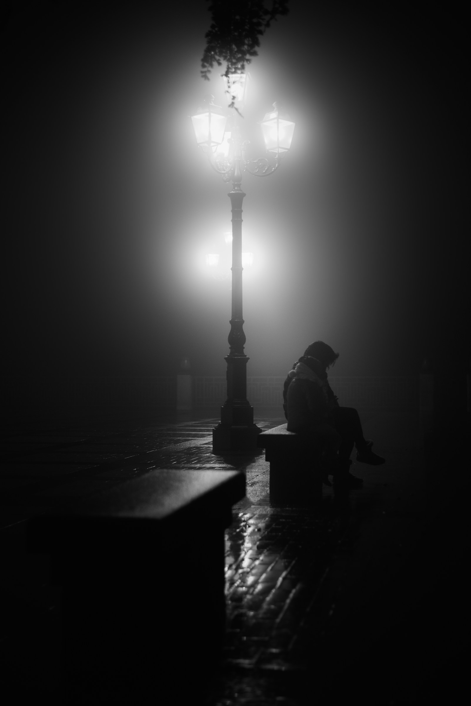 Thoughts suspended in the fog