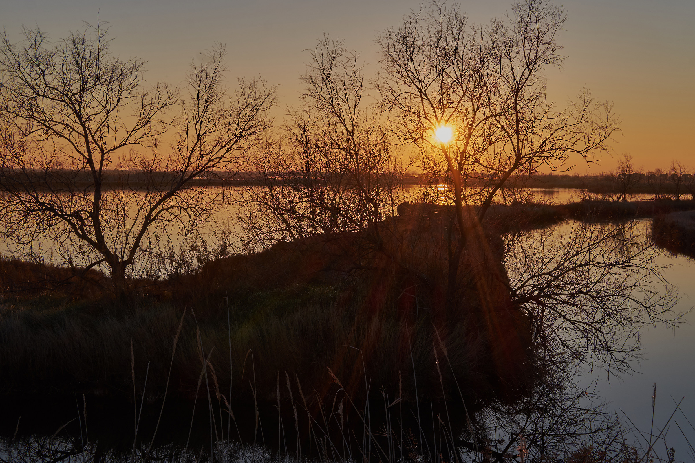 laguna di Venezia, Lio Piccolo, controluce
