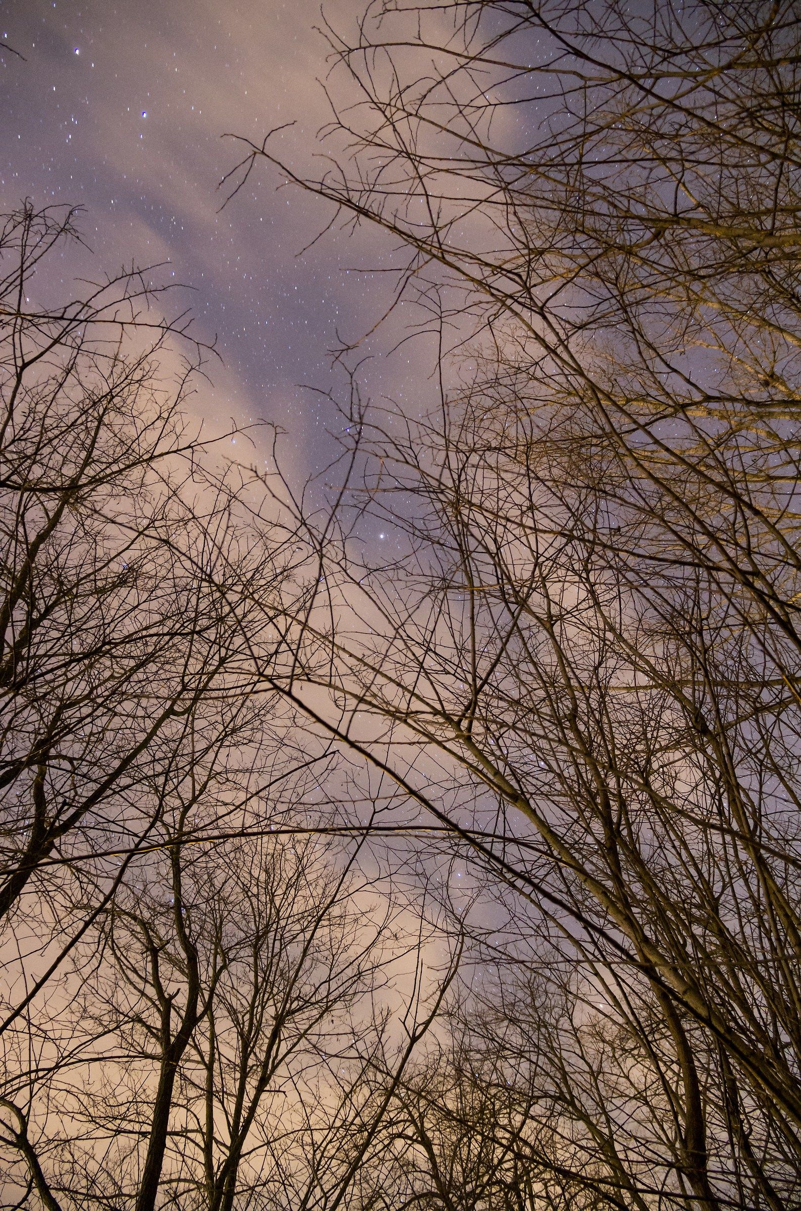 Halfway through the journey of our lives ...