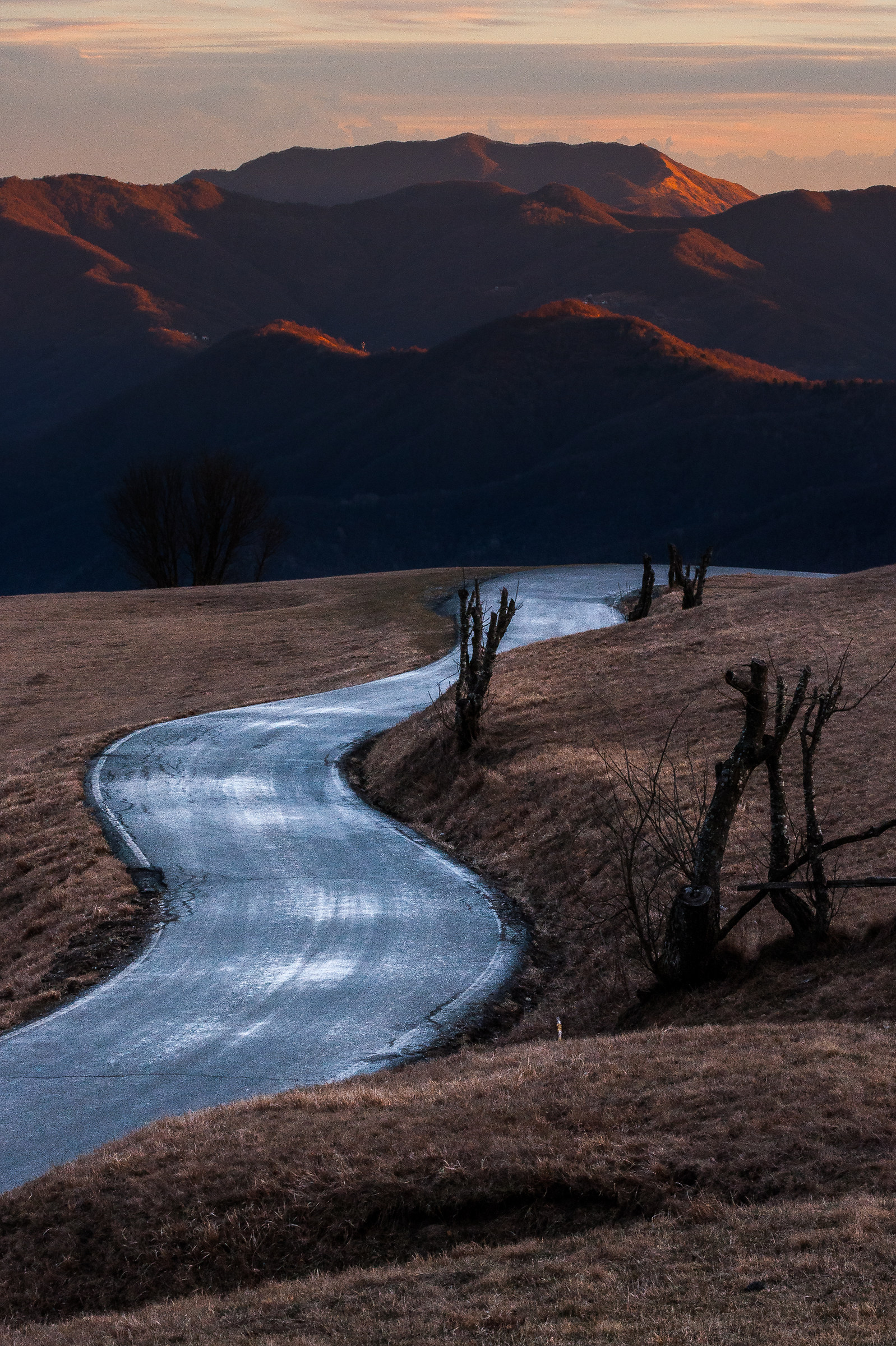 From near the observatory, Range (g) / 2