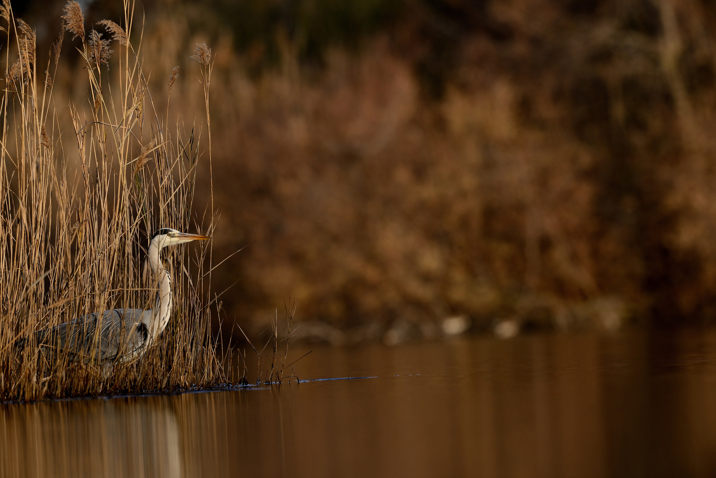 The beginning of a new day