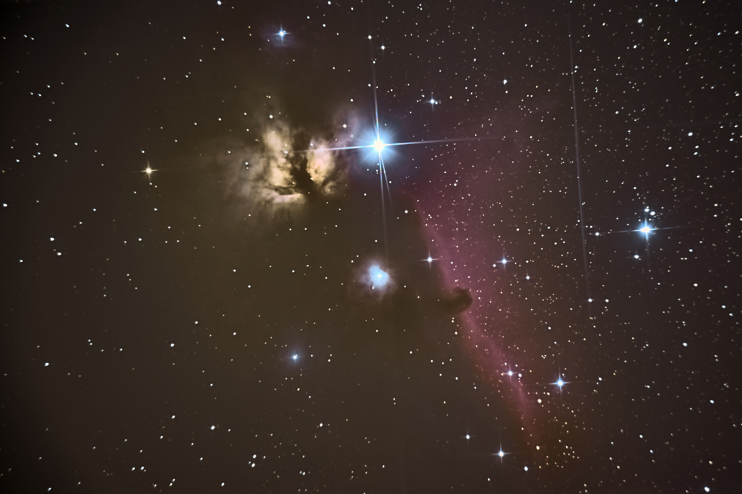 Horse Head and Flame