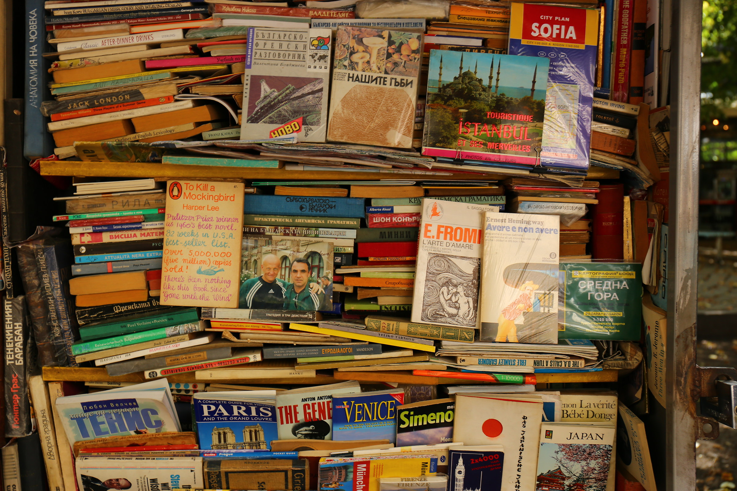 The world is beautiful because various