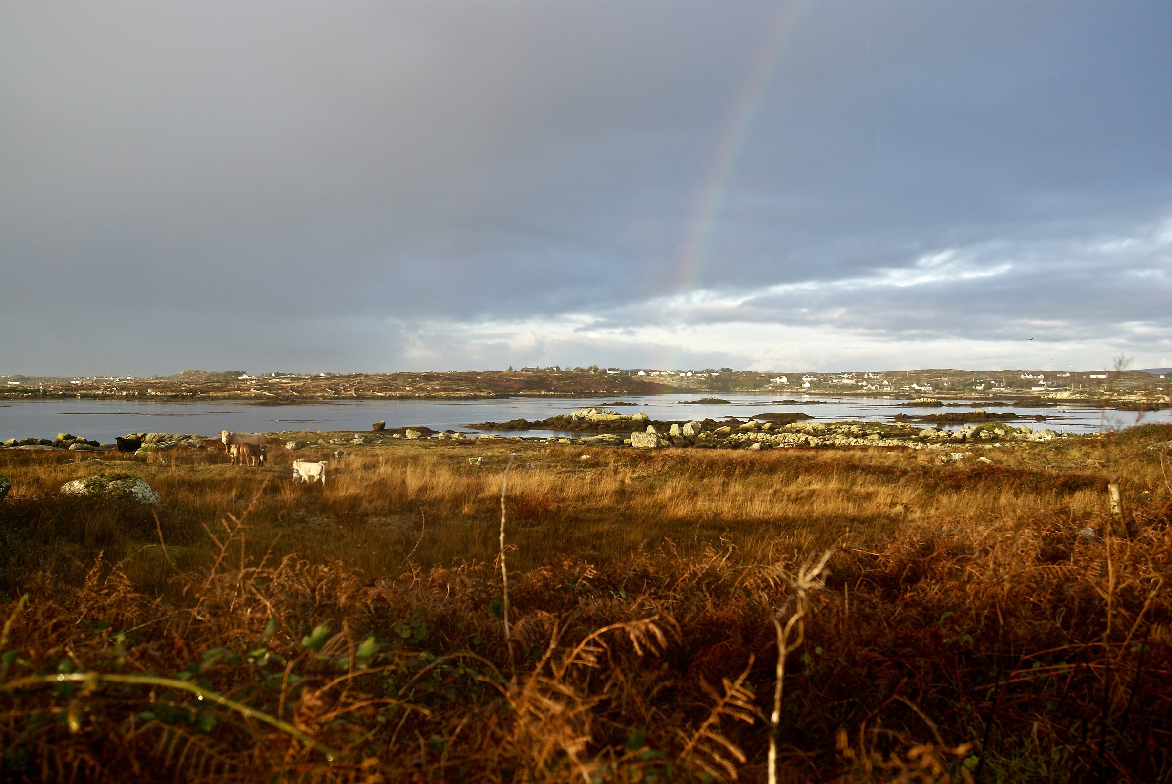 Lakes of Connemara