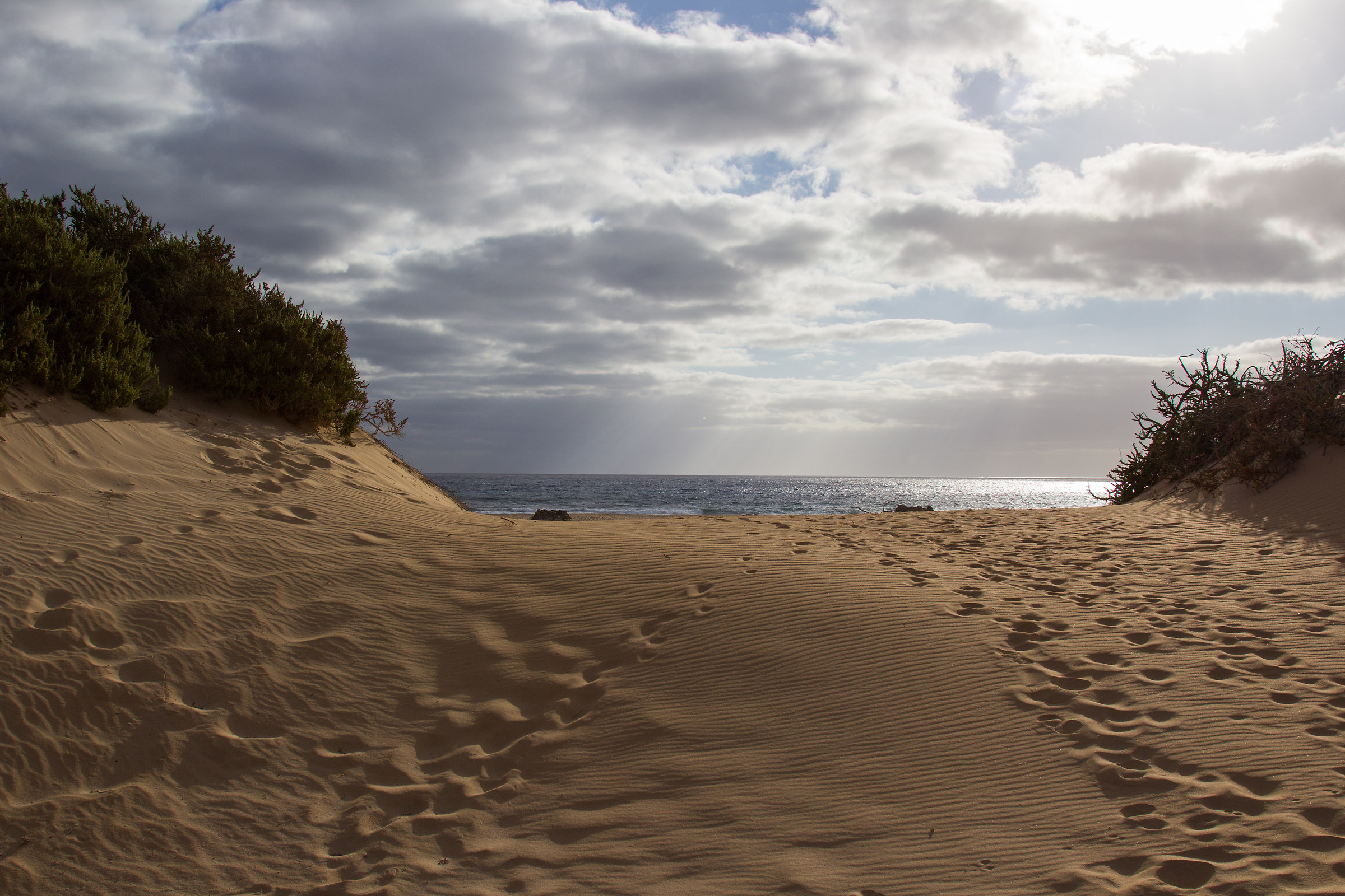 The sea in the desert