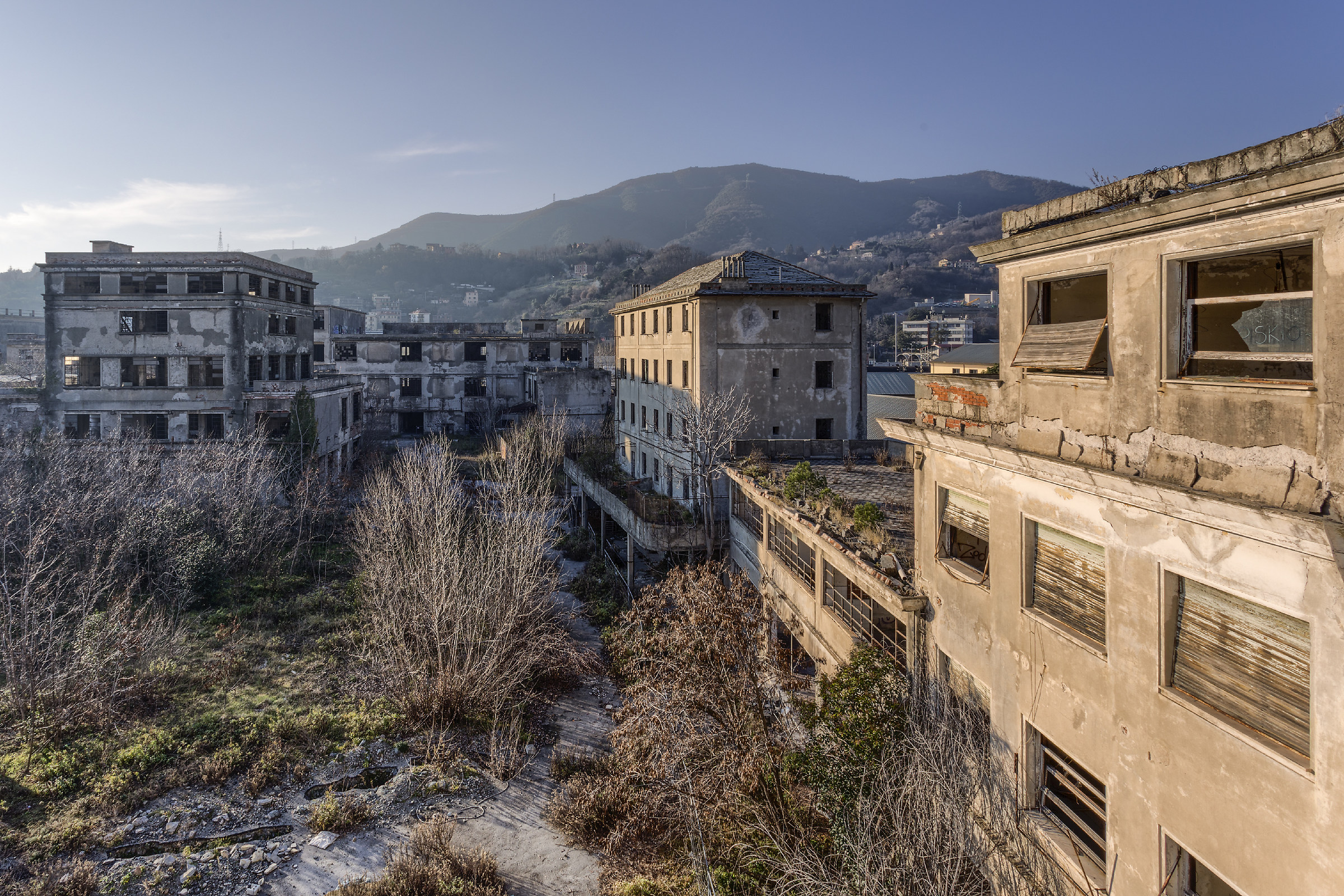 Quando si Perde sul Mercato