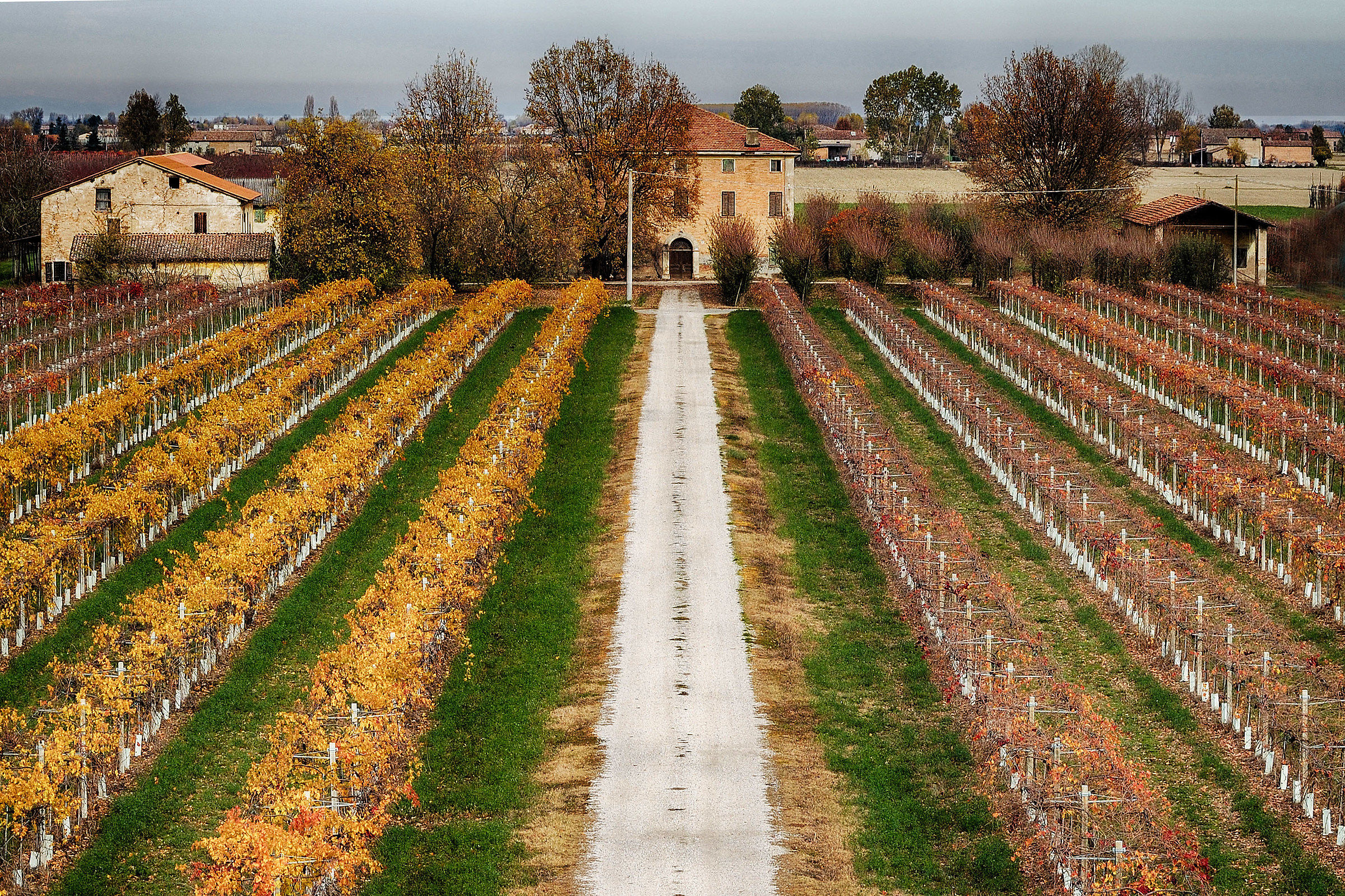Campagna di Motta di Cavezzo