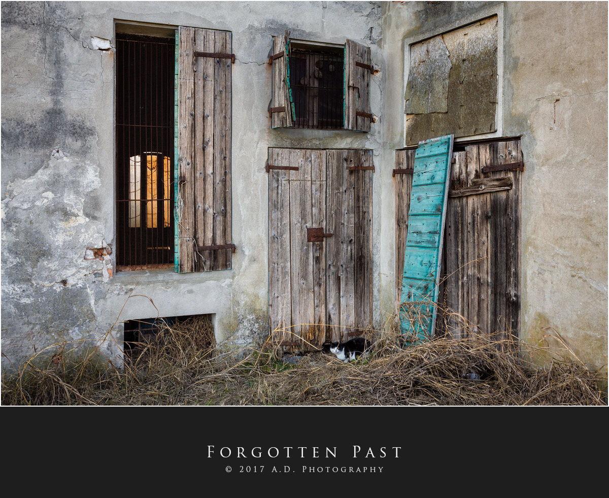 Forgotten Past