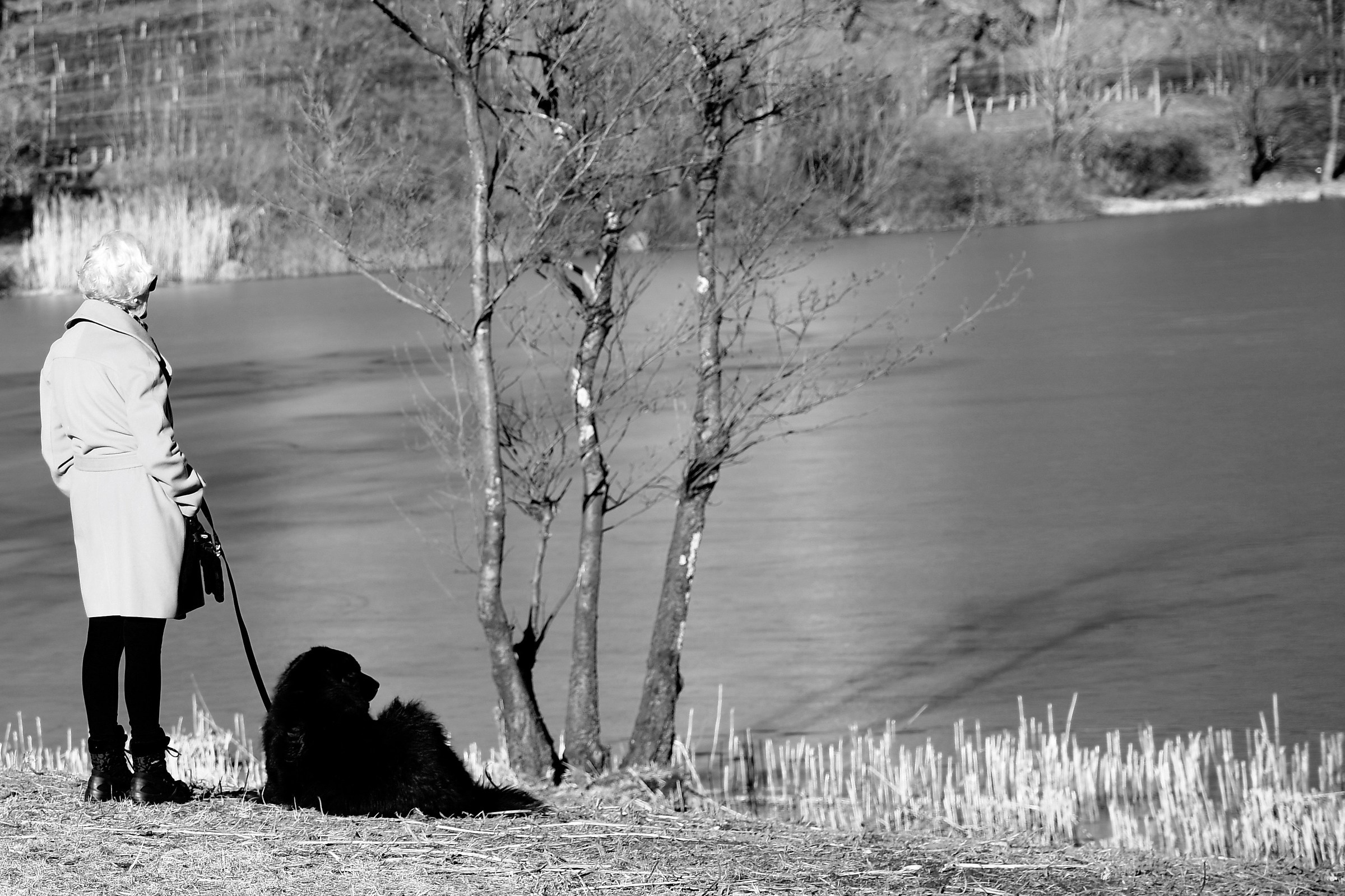 Domenica pomeriggio.