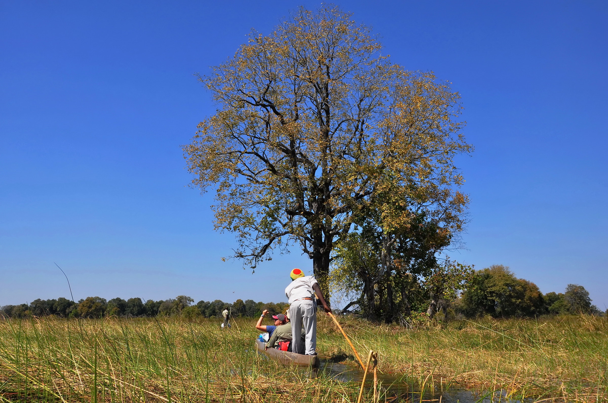 Botswana Okavango Delta