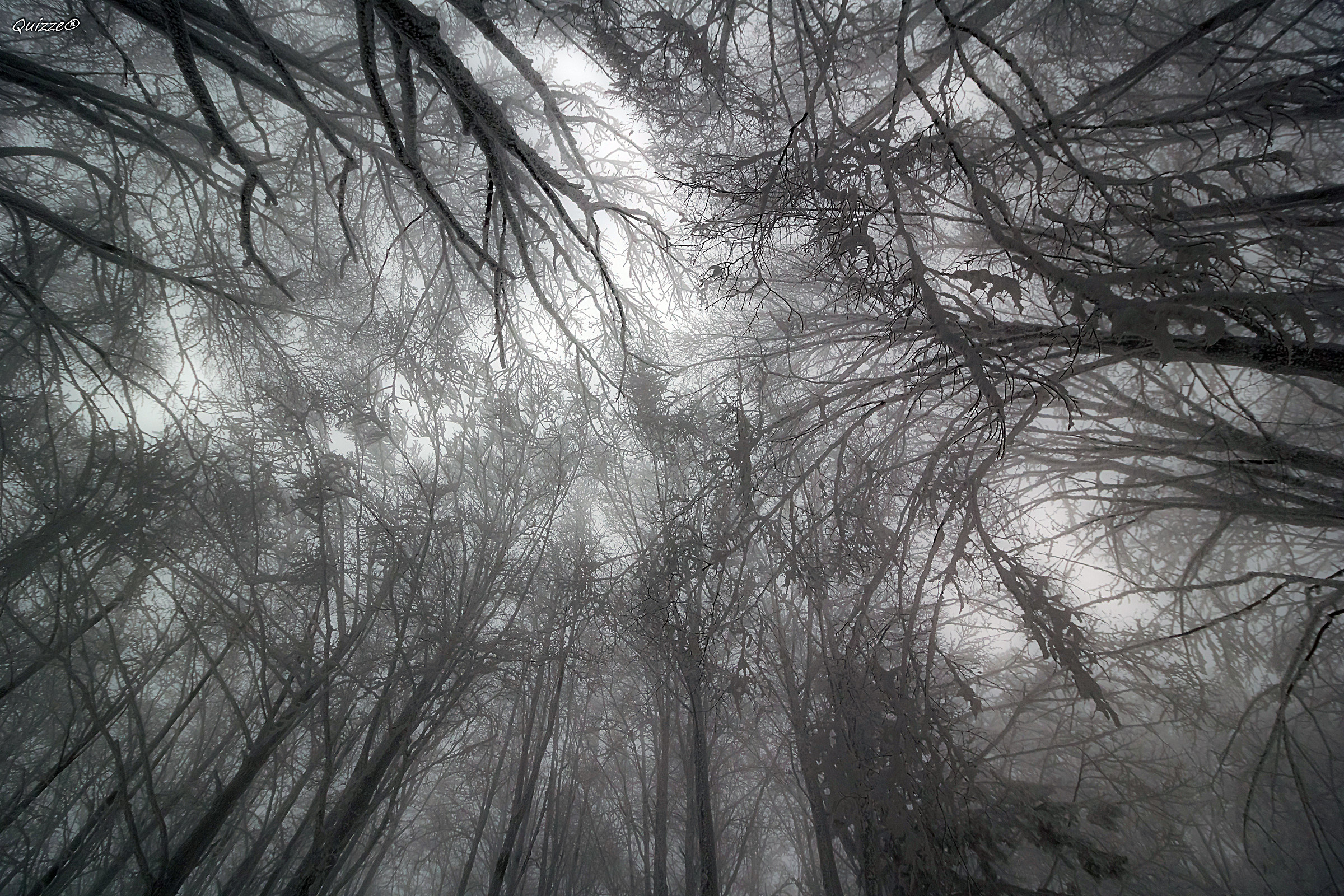 "Il tetto del Mondo"