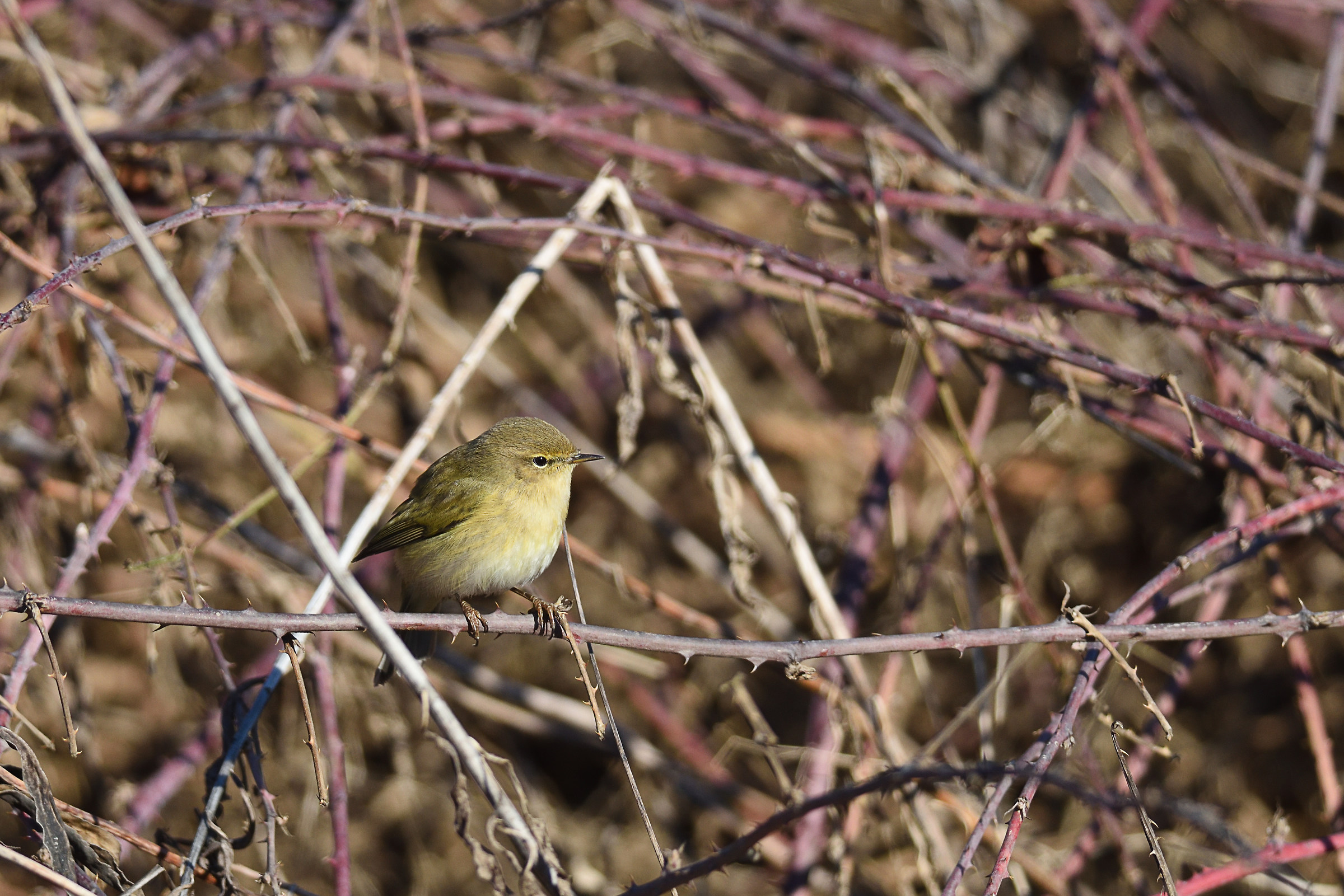 Lezioni di trigonometria