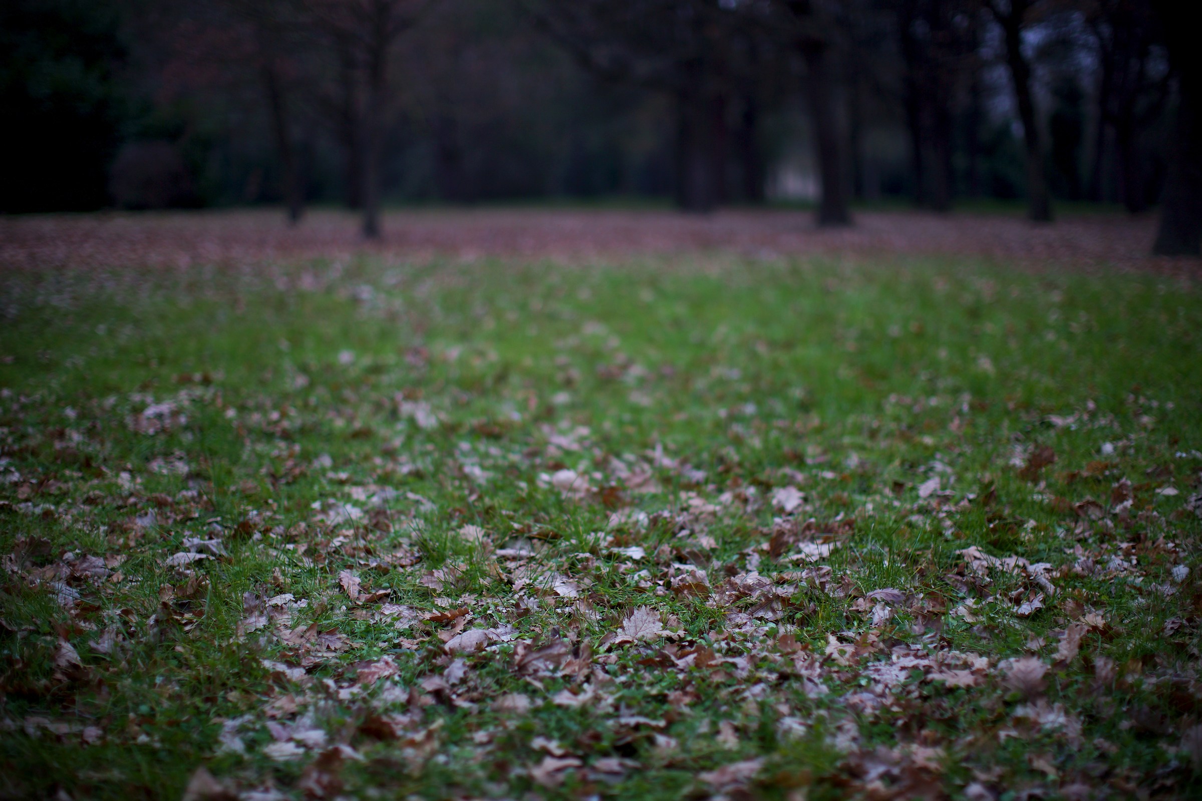 Everybody on the ground