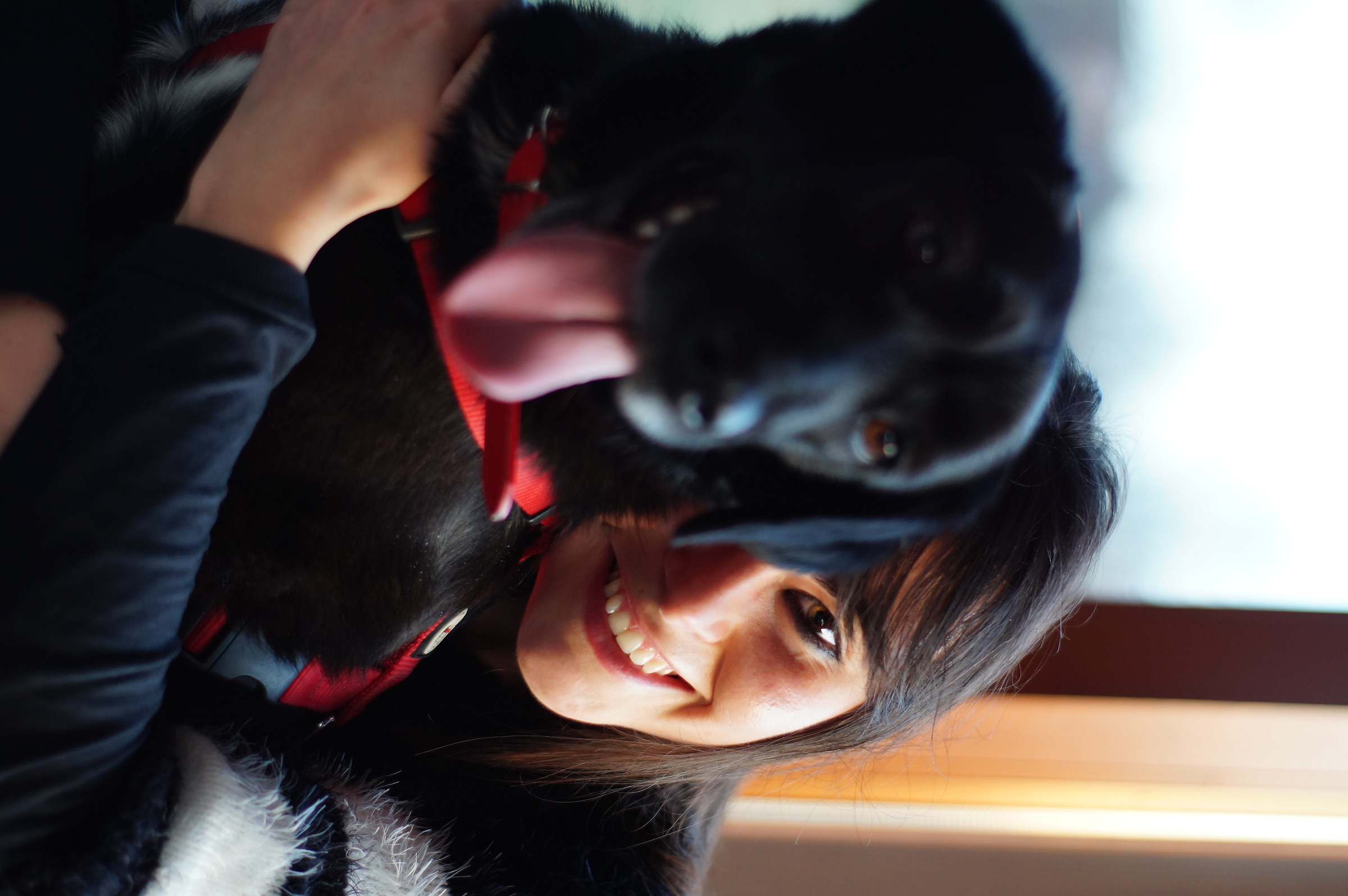 lei è la sua padrona, no! è il suo amore