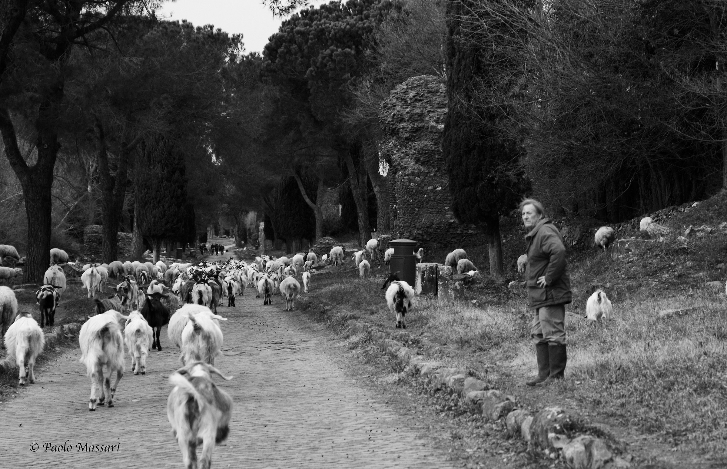 Antichi mestieri sulla Appia antica