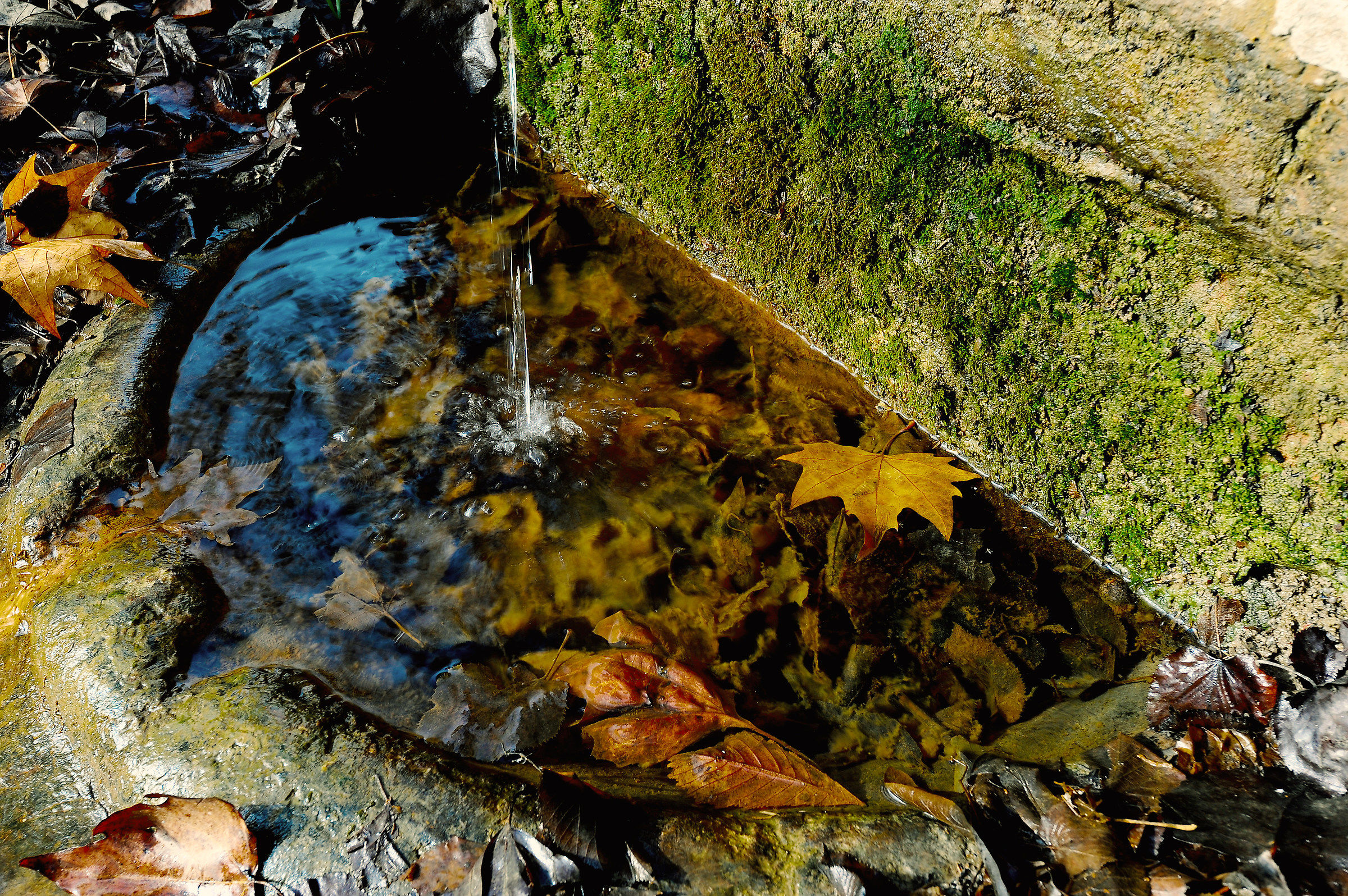 La Fontana sotto gli Alberi