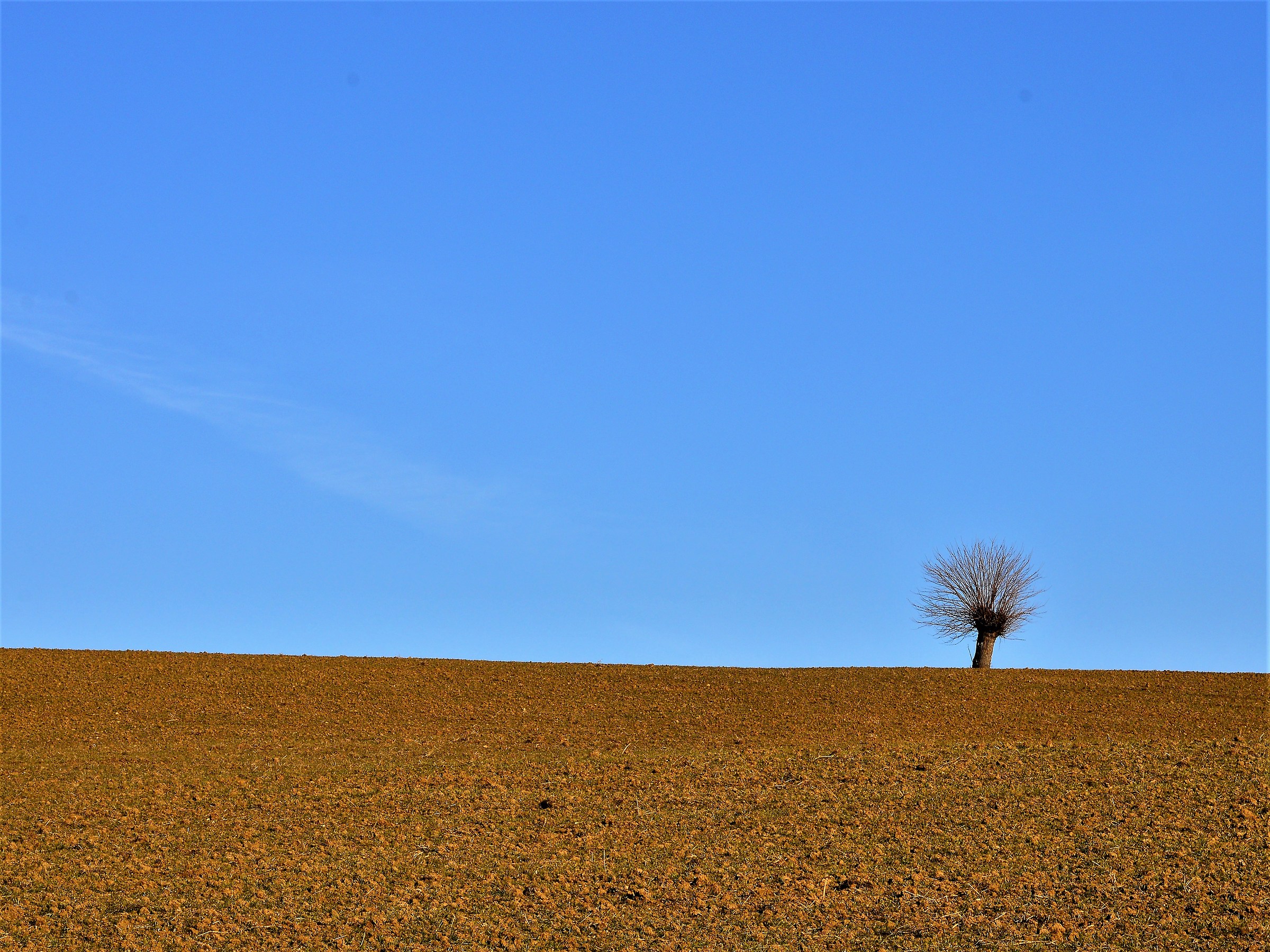 colline della Val Trebbia