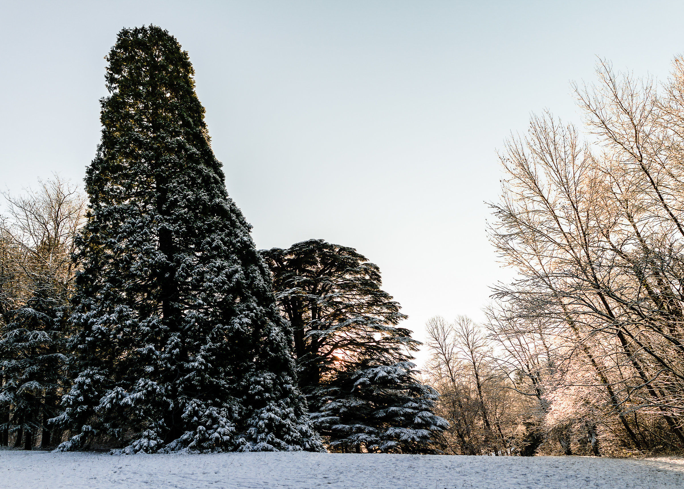 Pavullo nel Frignano - Ducal Park