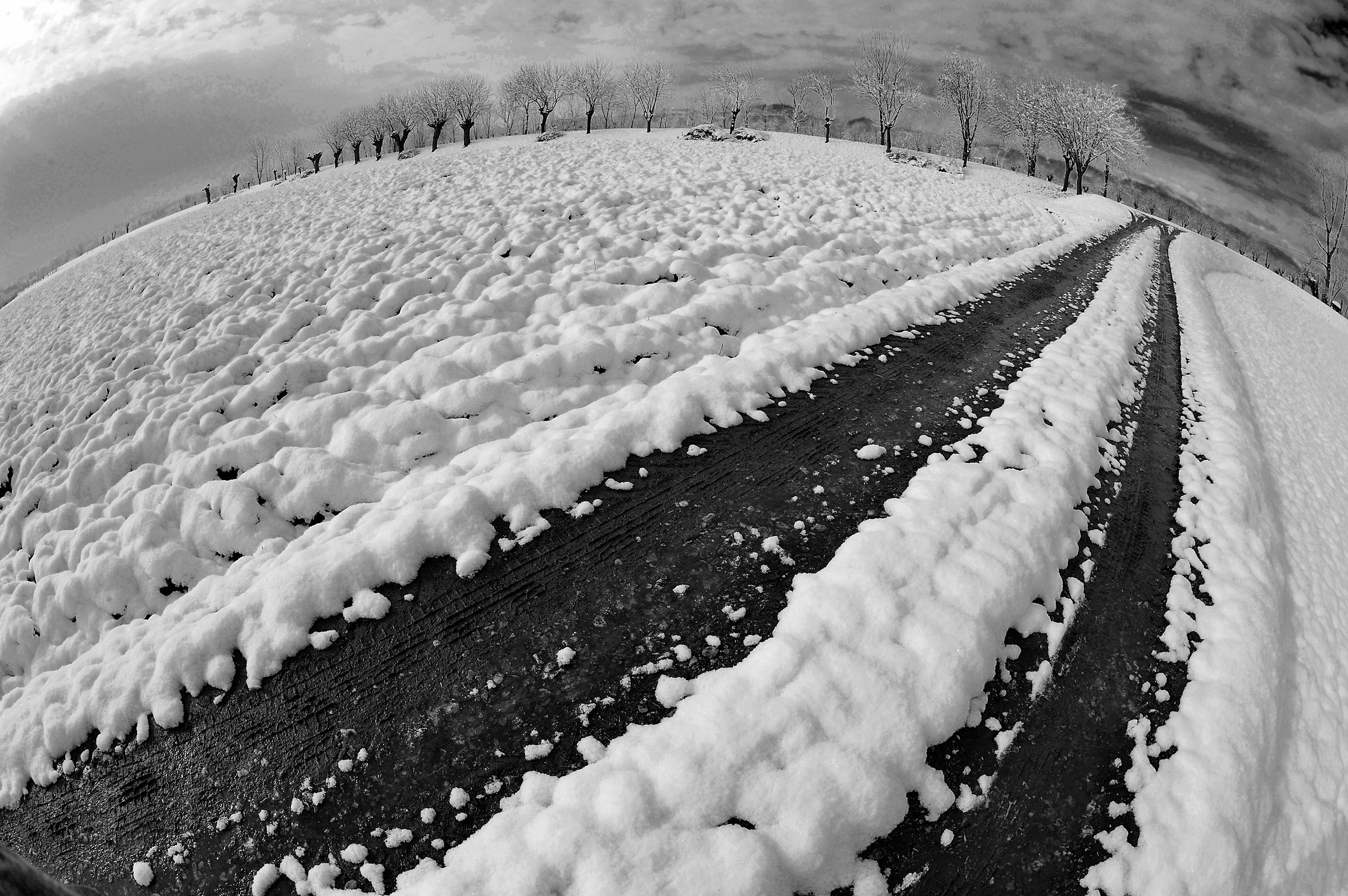 tracce in bianco e...