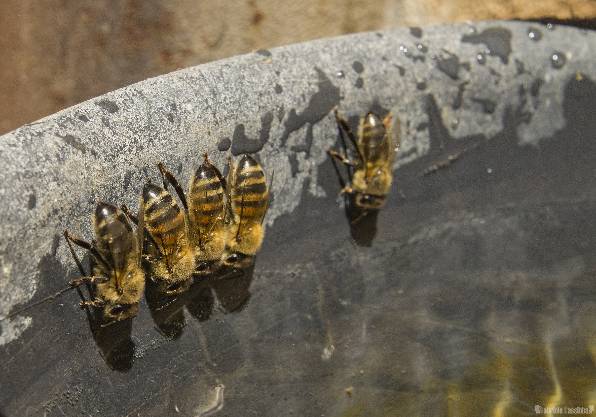 Four abreast with the rest of one