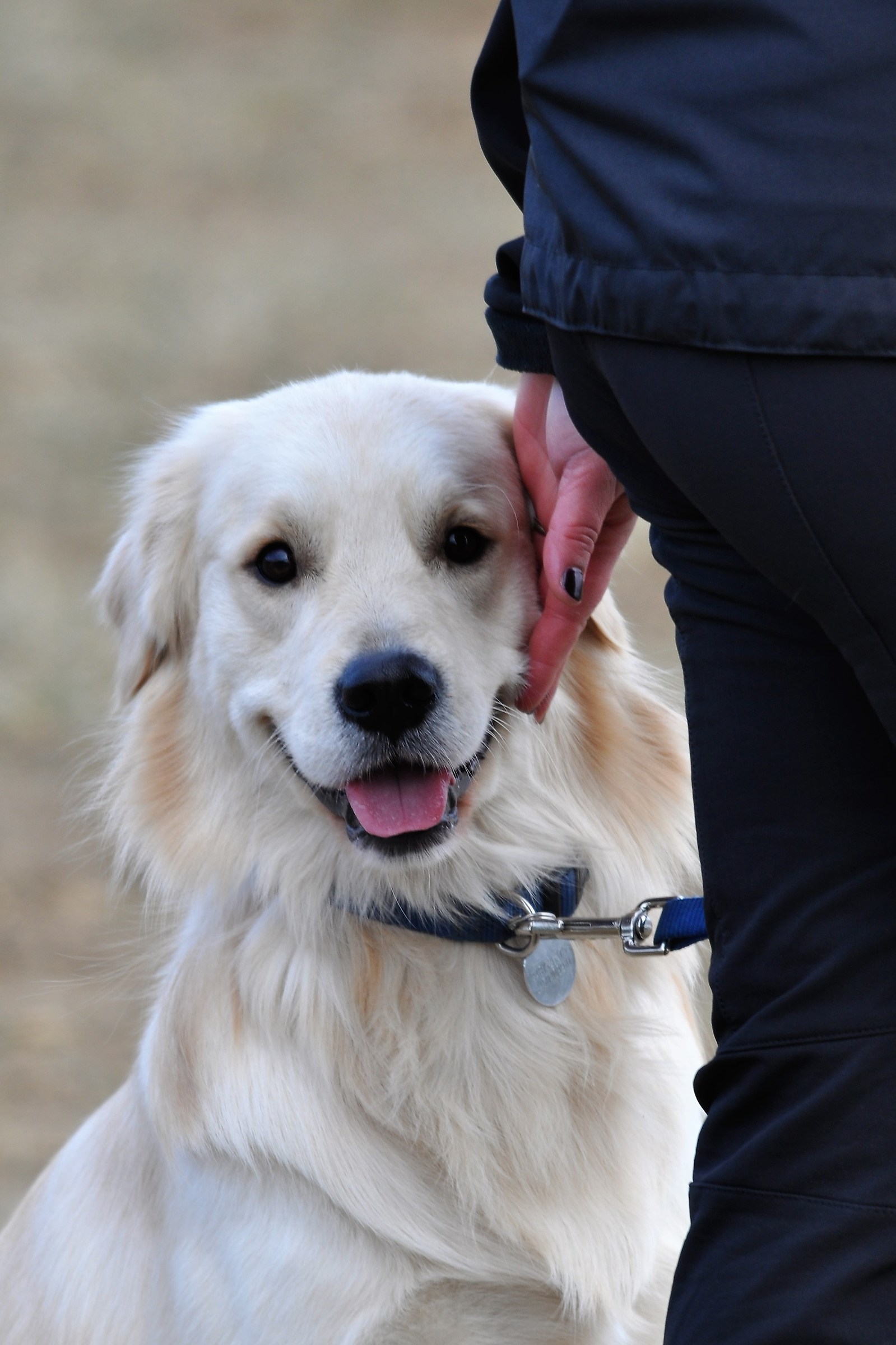 Teddy and pampering .....