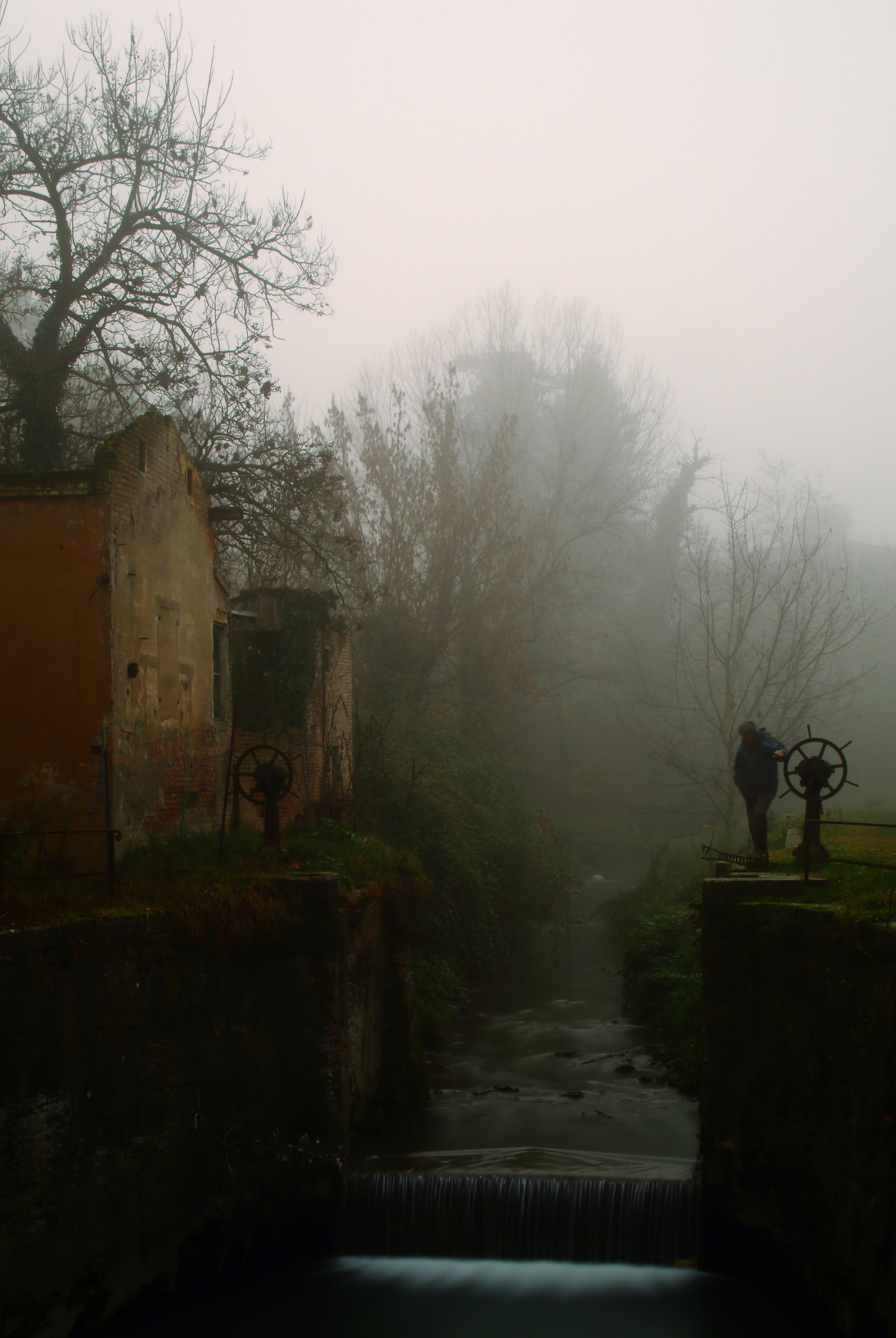 Posa B - Autoritratto