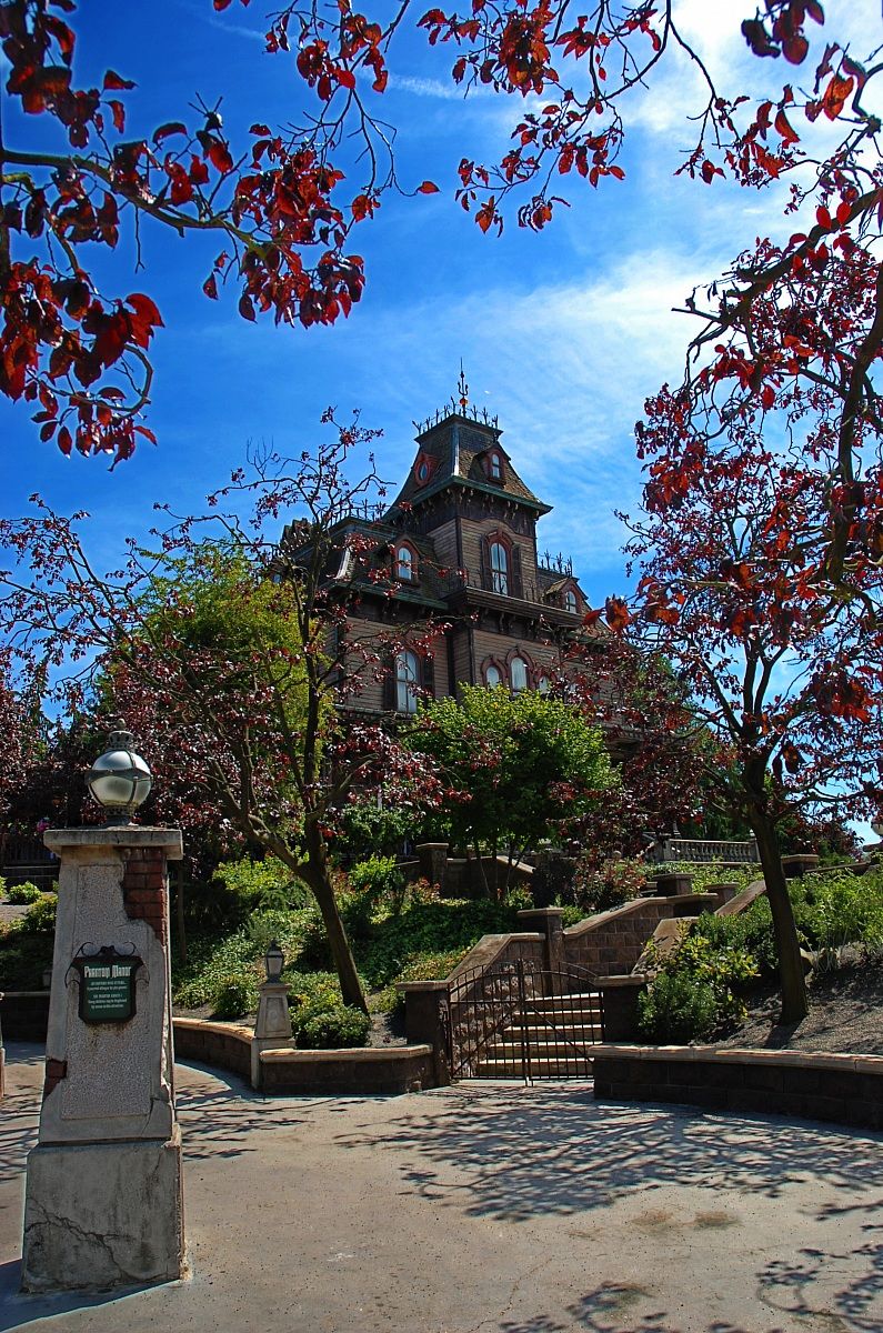 Casa Stregata - Disneland