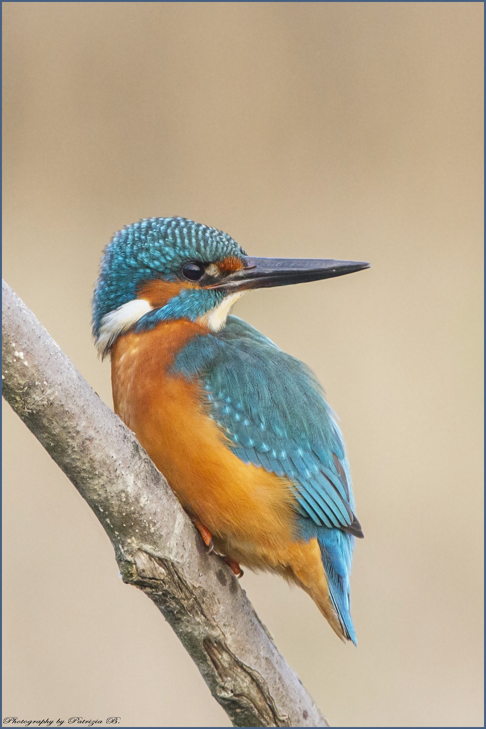 Relaxed ... but be careful ...