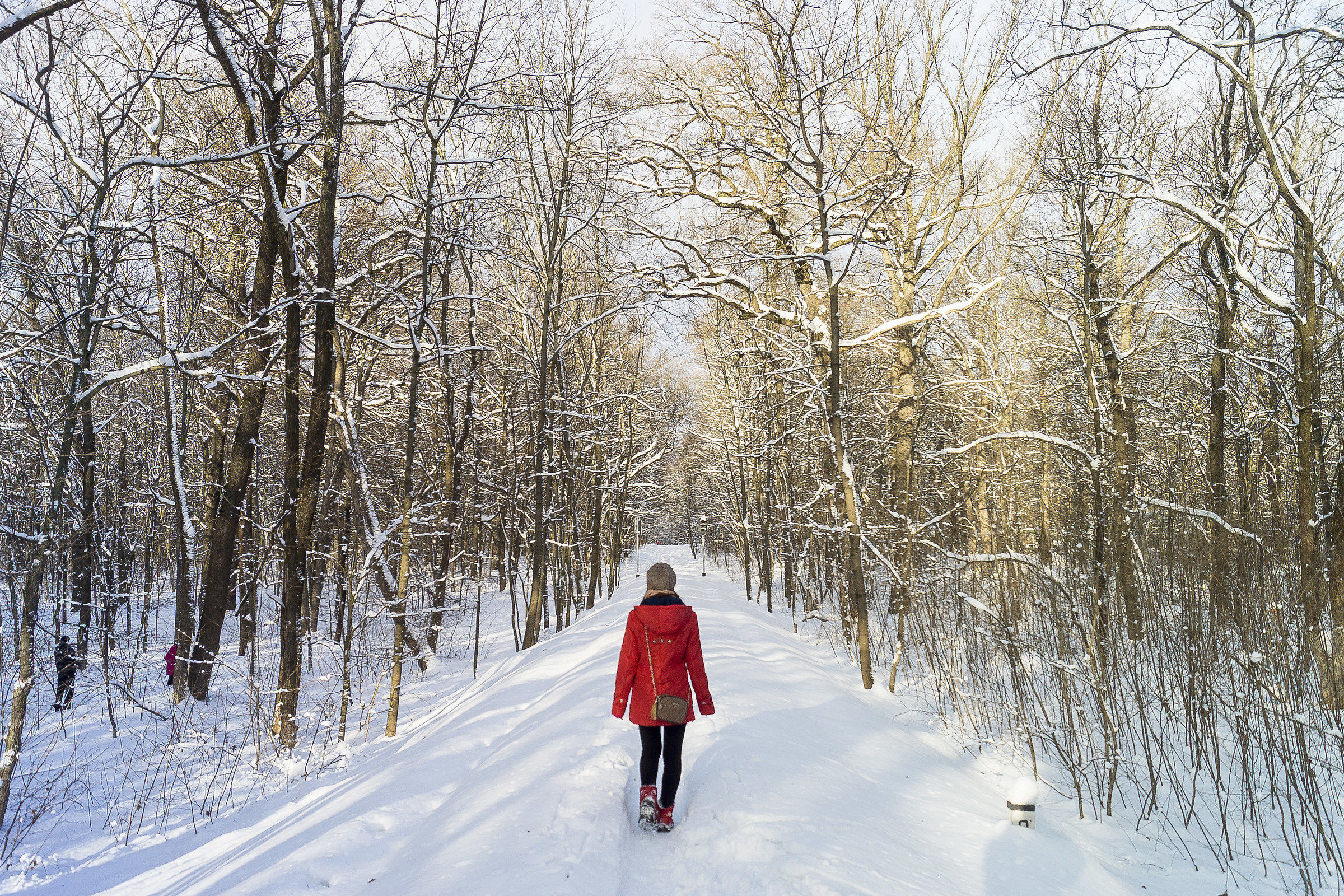 Incredibile l'inverno 2017 a Kharkiv