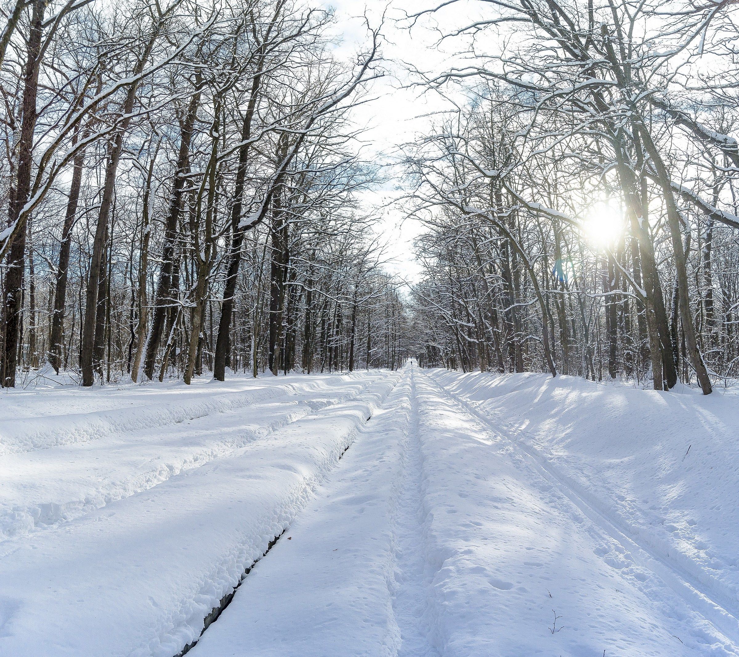 Amazing winter 2017 in Kharkiv
