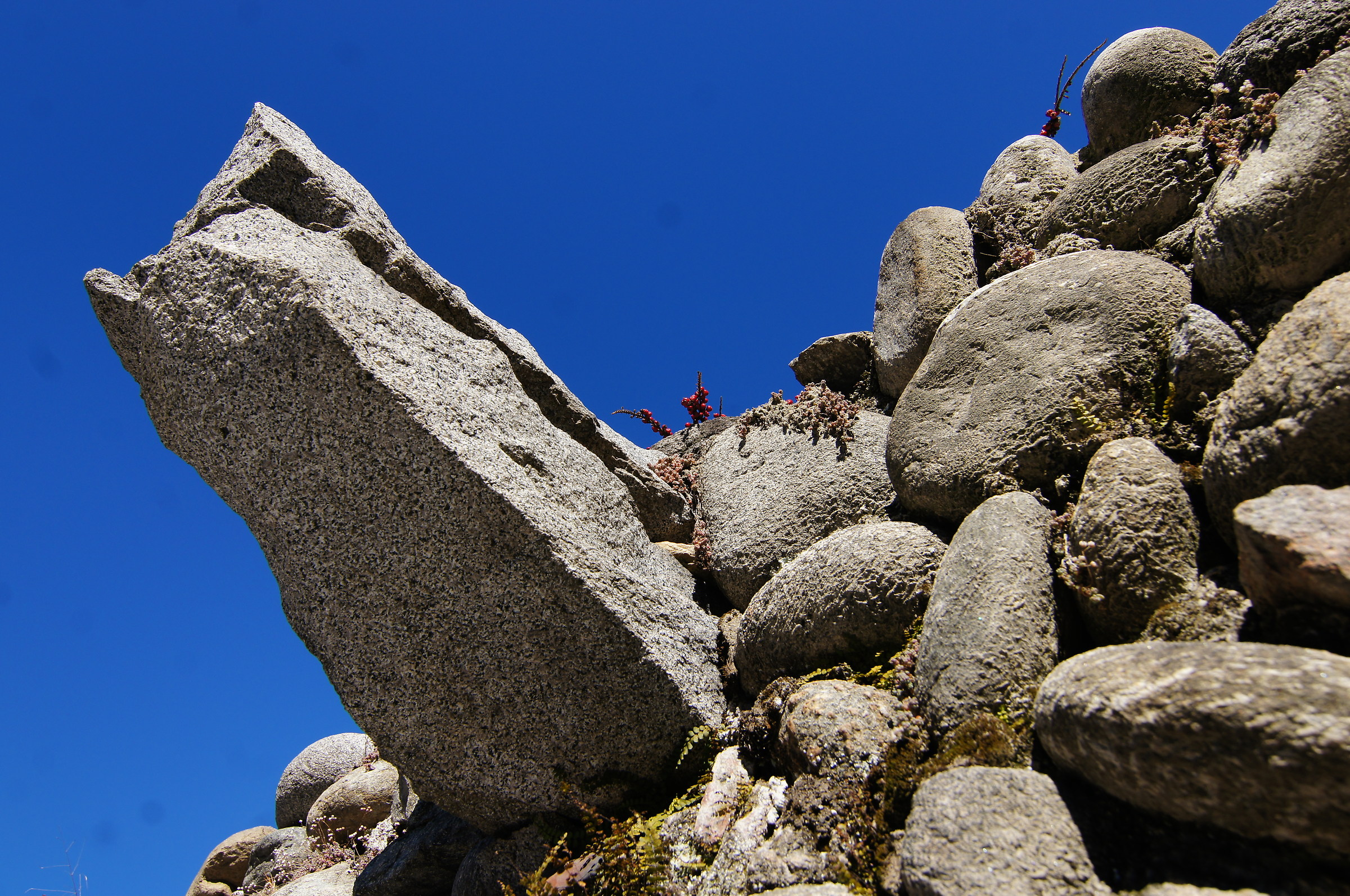 Particolare delle mura interne