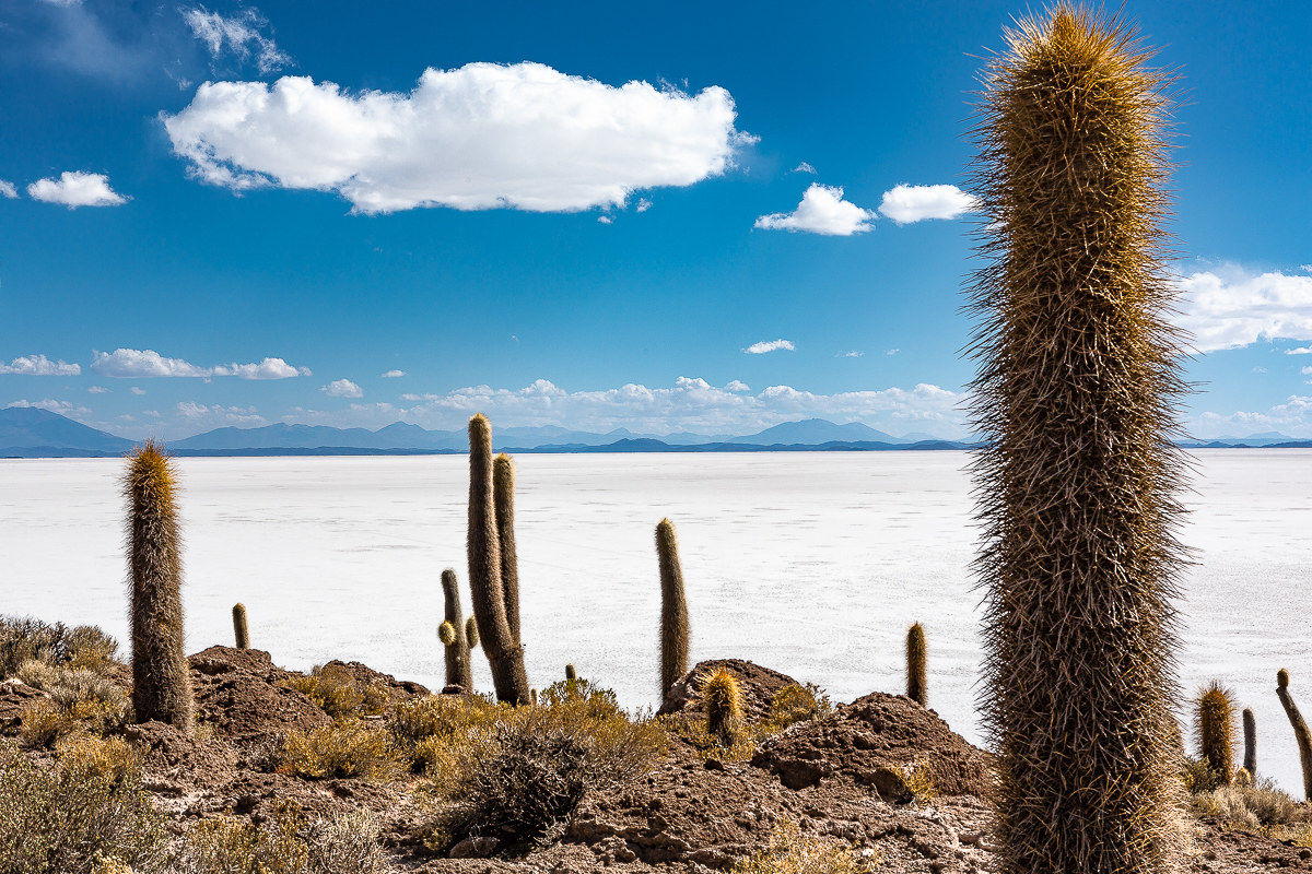 "Di sale, di sete, di spine"