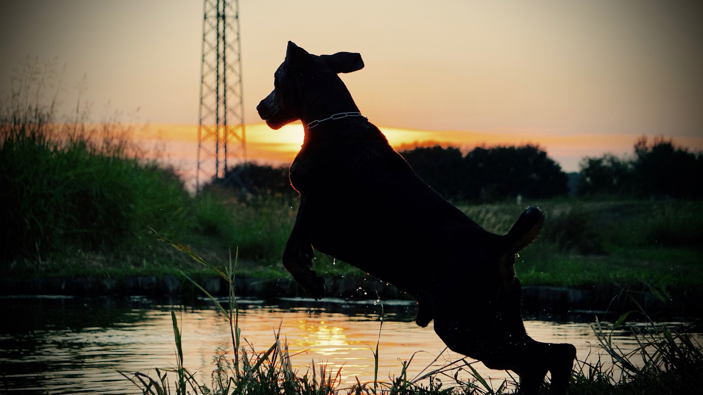 Salto verso la libertà
