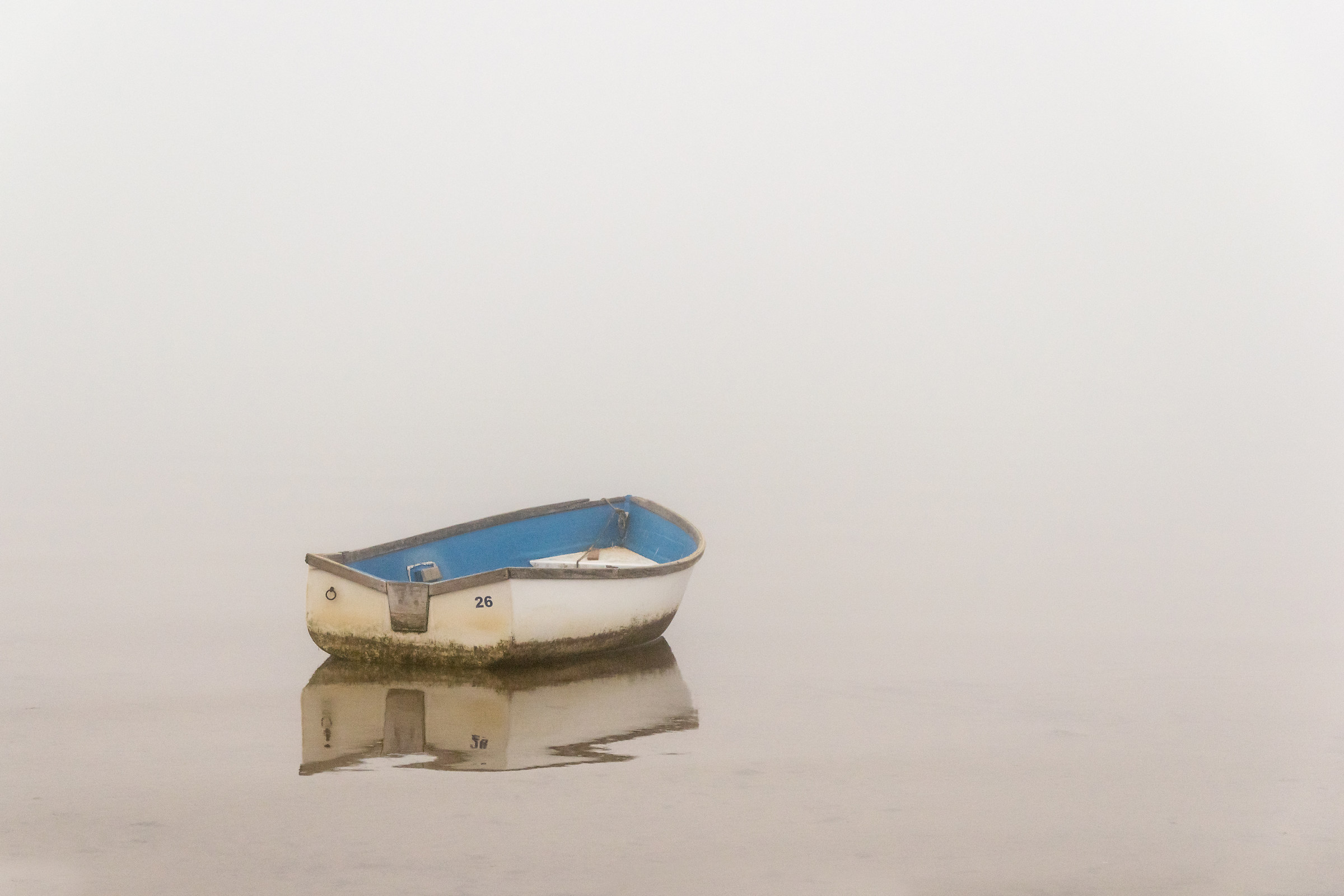 Nebbia. Un sacco di esso. Tutto il giorno. Nessun storni.
