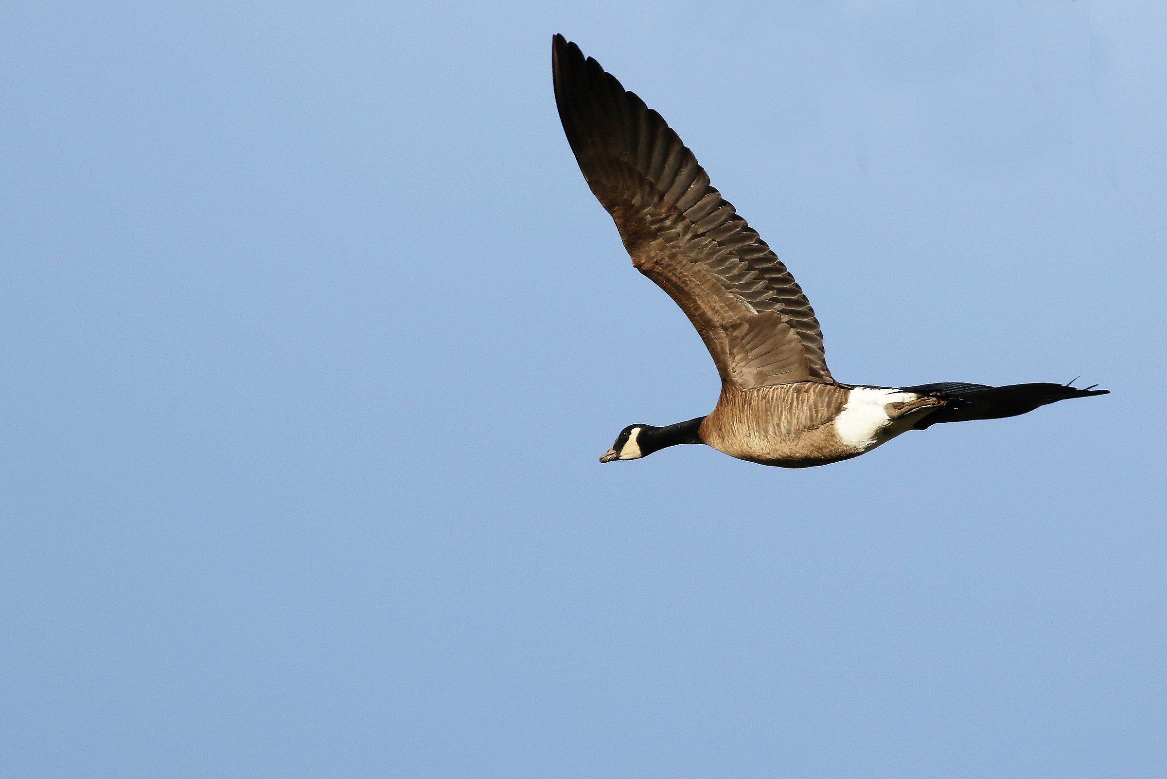 Isolando One of Many