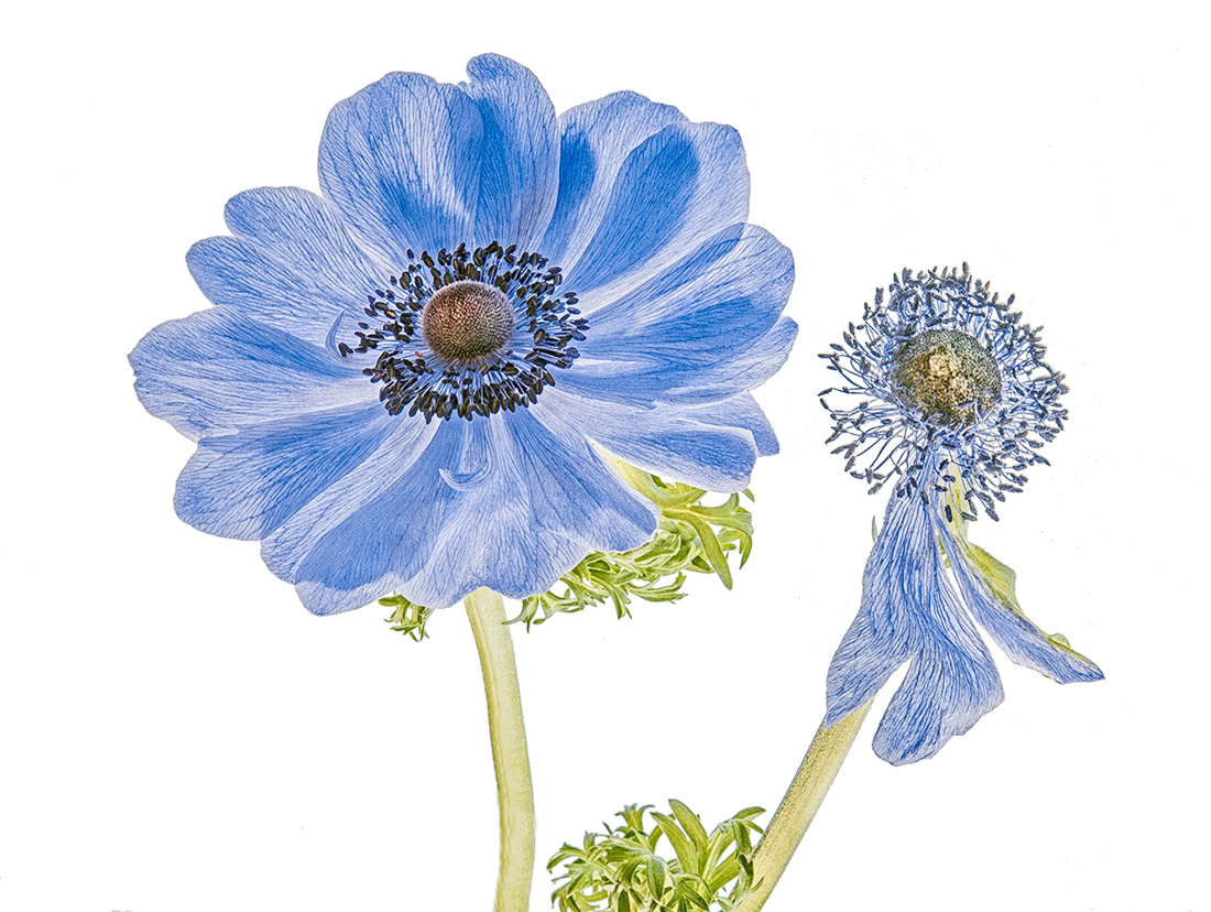 Aspettando la primavera