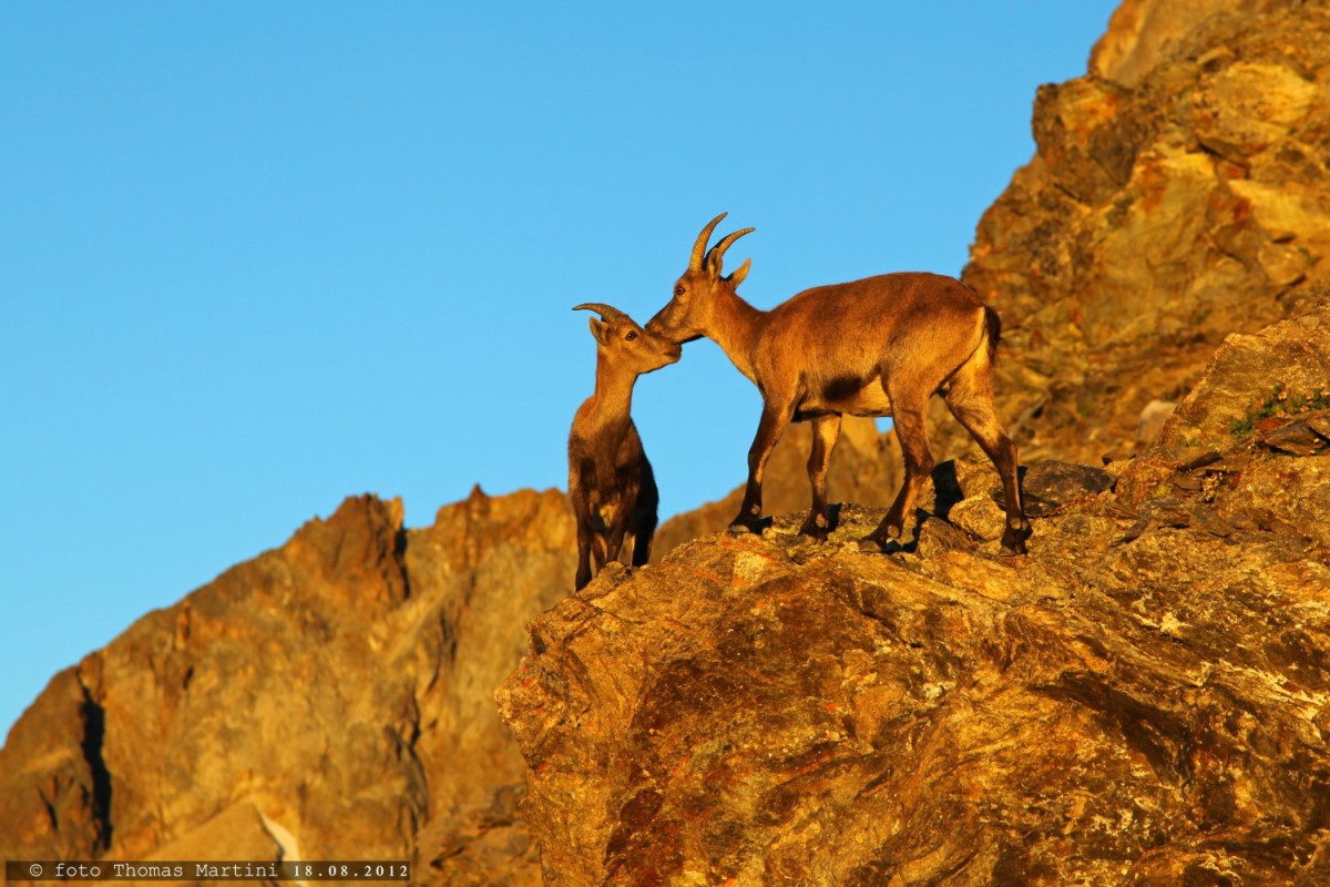 Sunrise: the kiss of the morning