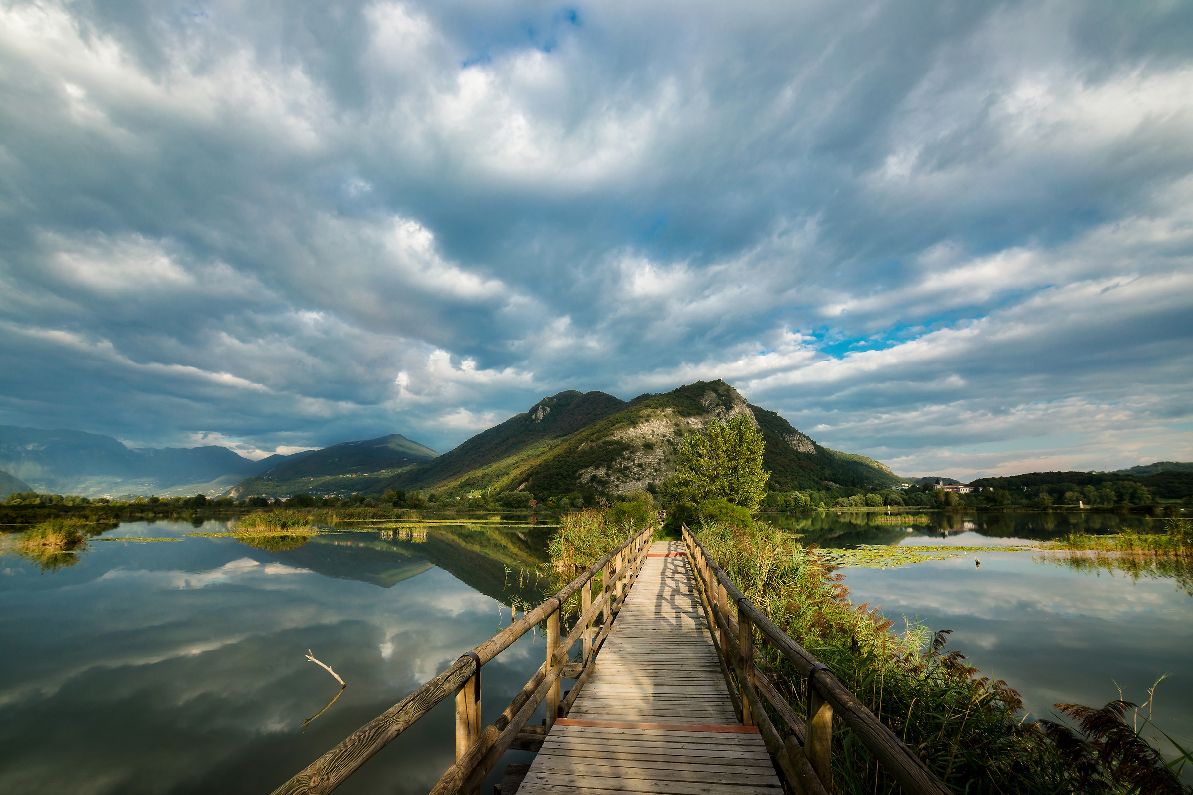 the breath of the bogs