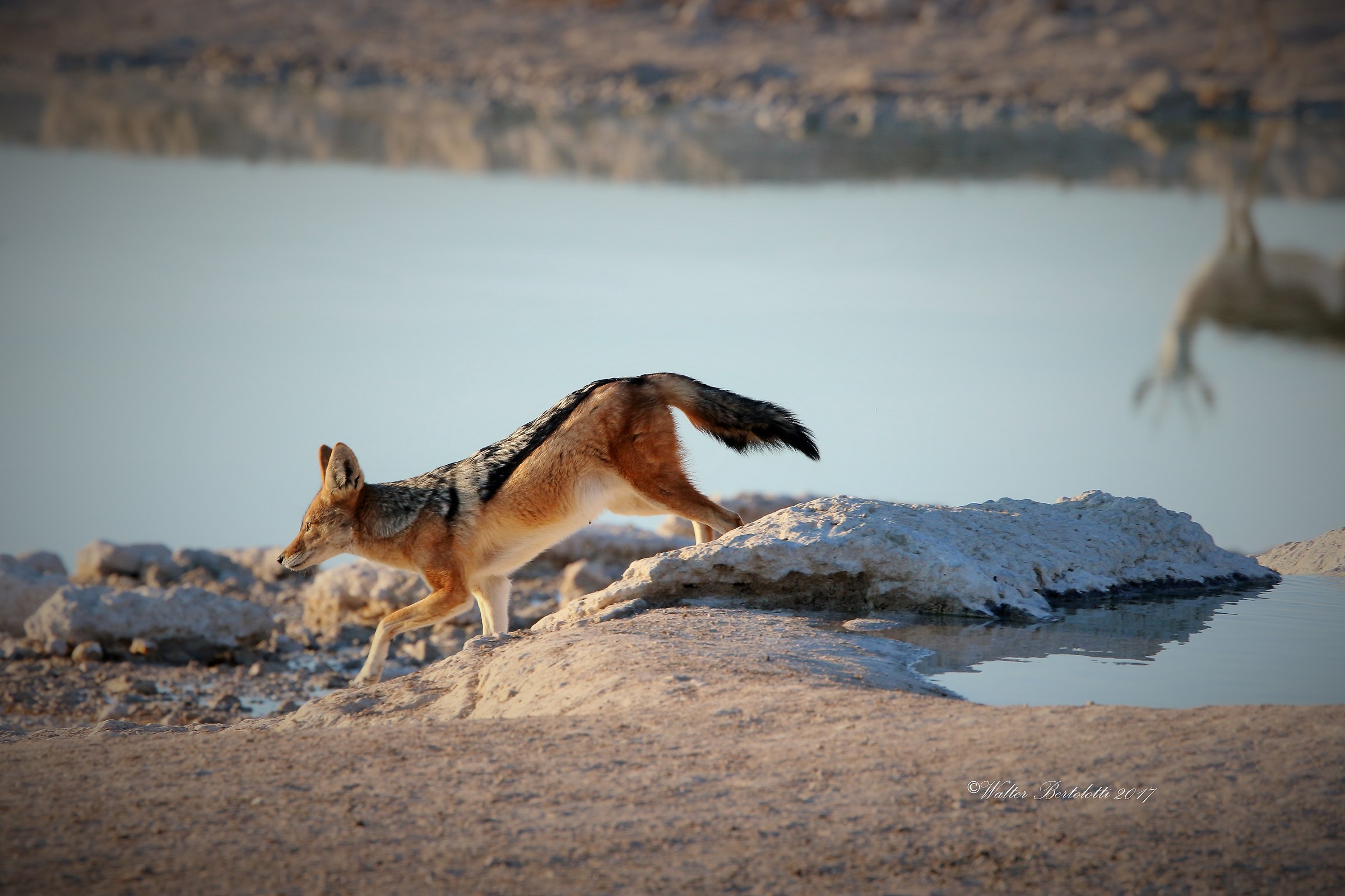 this is my territory