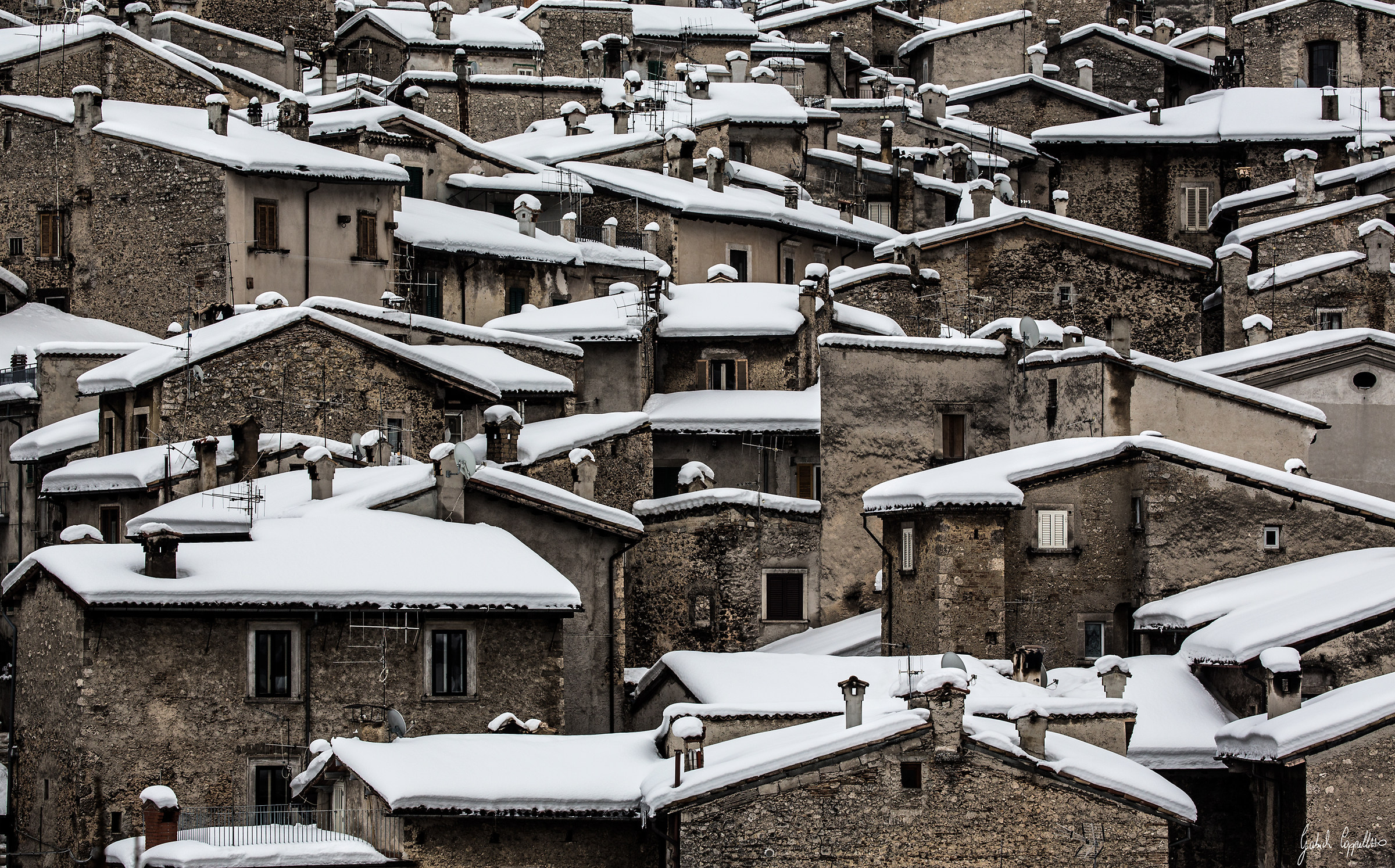 This year, the winter