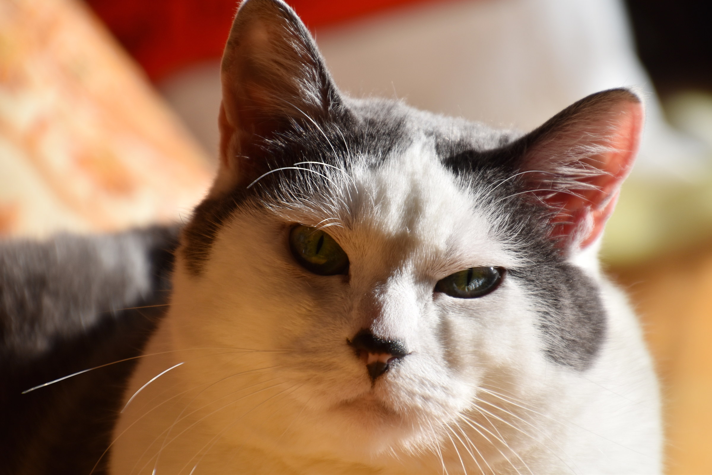 Lasciami stare, oggi sono nervosa