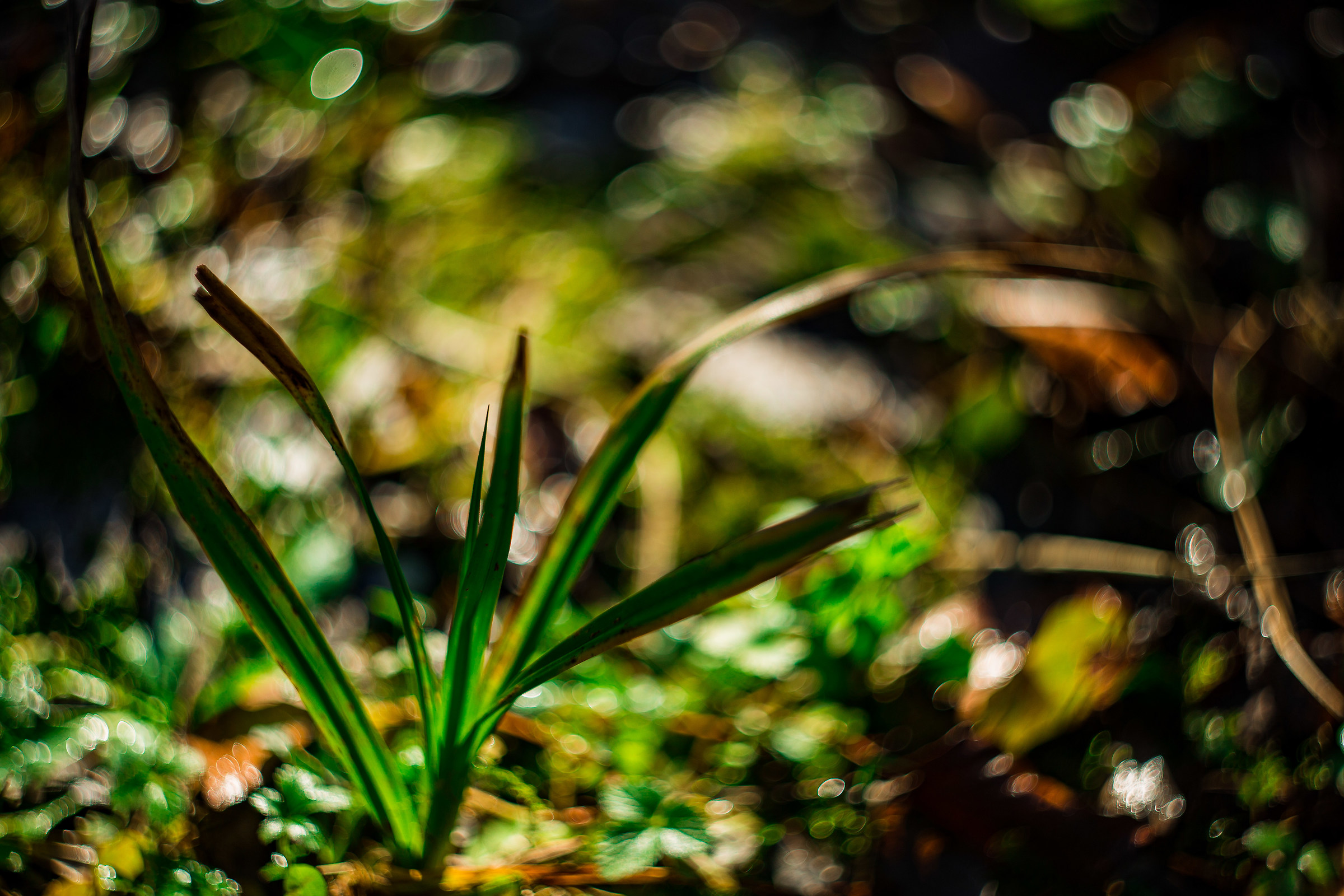 Al di là della vita e della morte