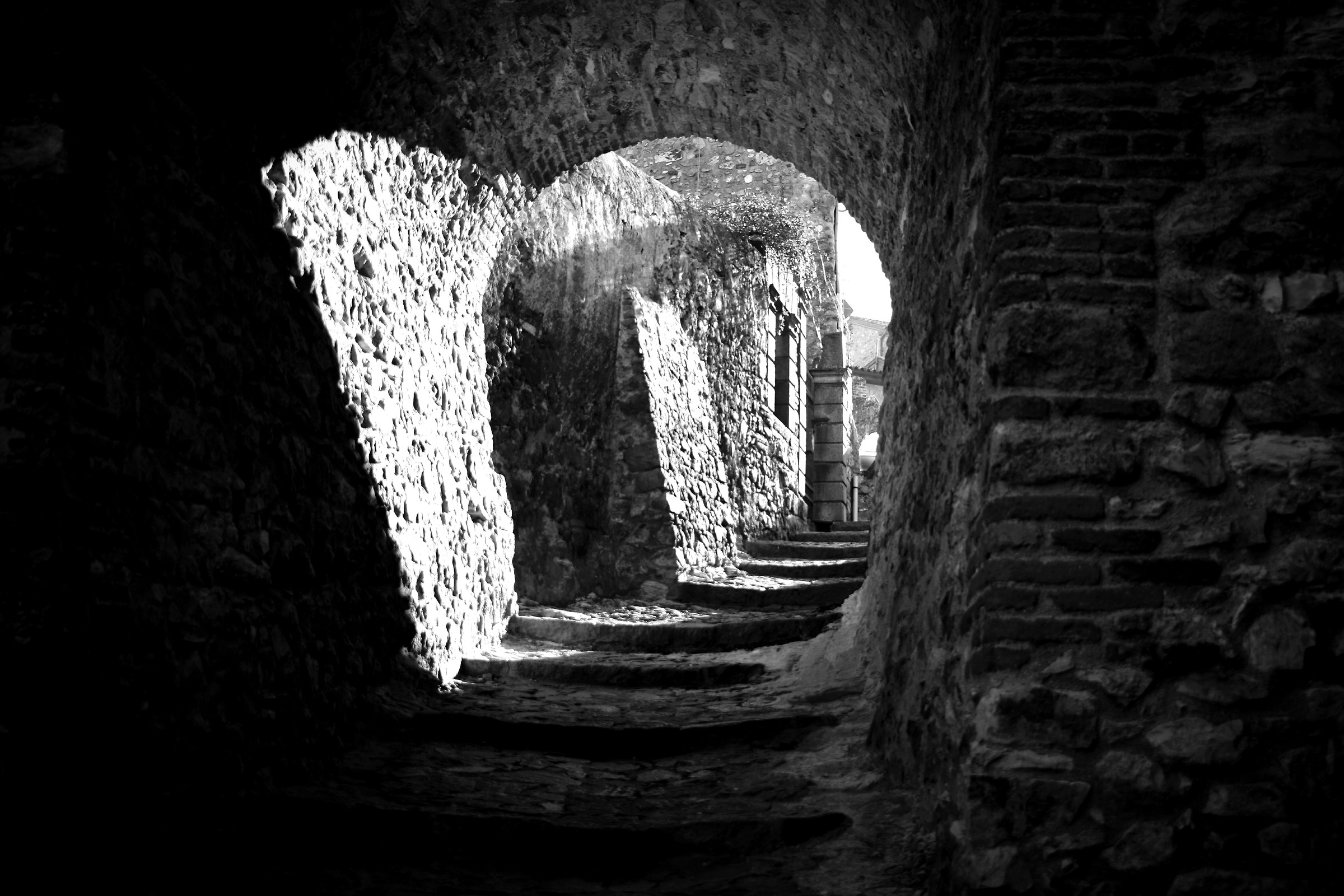 ~ Light and shadow ~