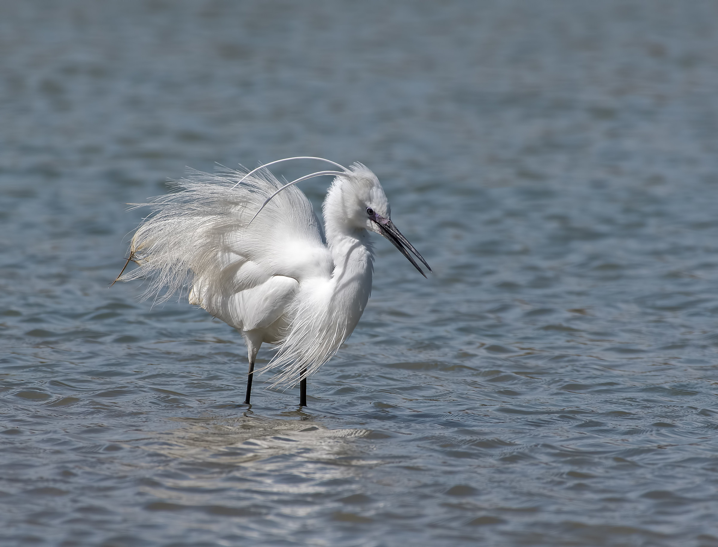 Close the door that is current!