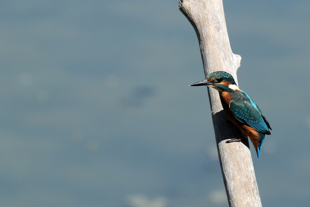 Il mio primo martinoooooo!!!!!!